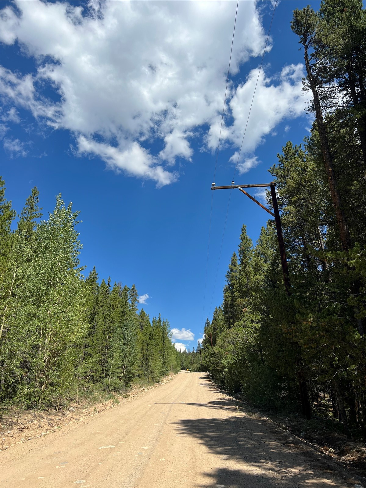 163 Co Road 665 Fairplay CO 80440