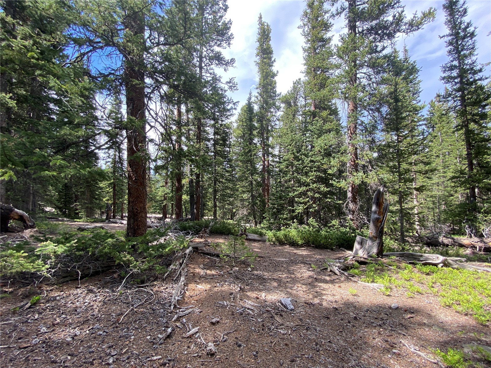 2216 Valley Of The Sun Drive Fairplay CO 80440