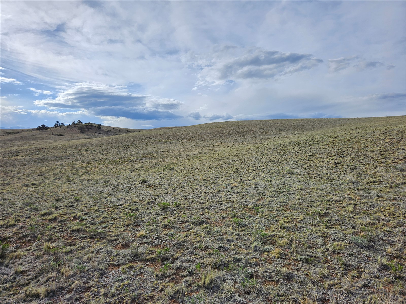 PCS#24139 Antero Road Hartsel CO 80449