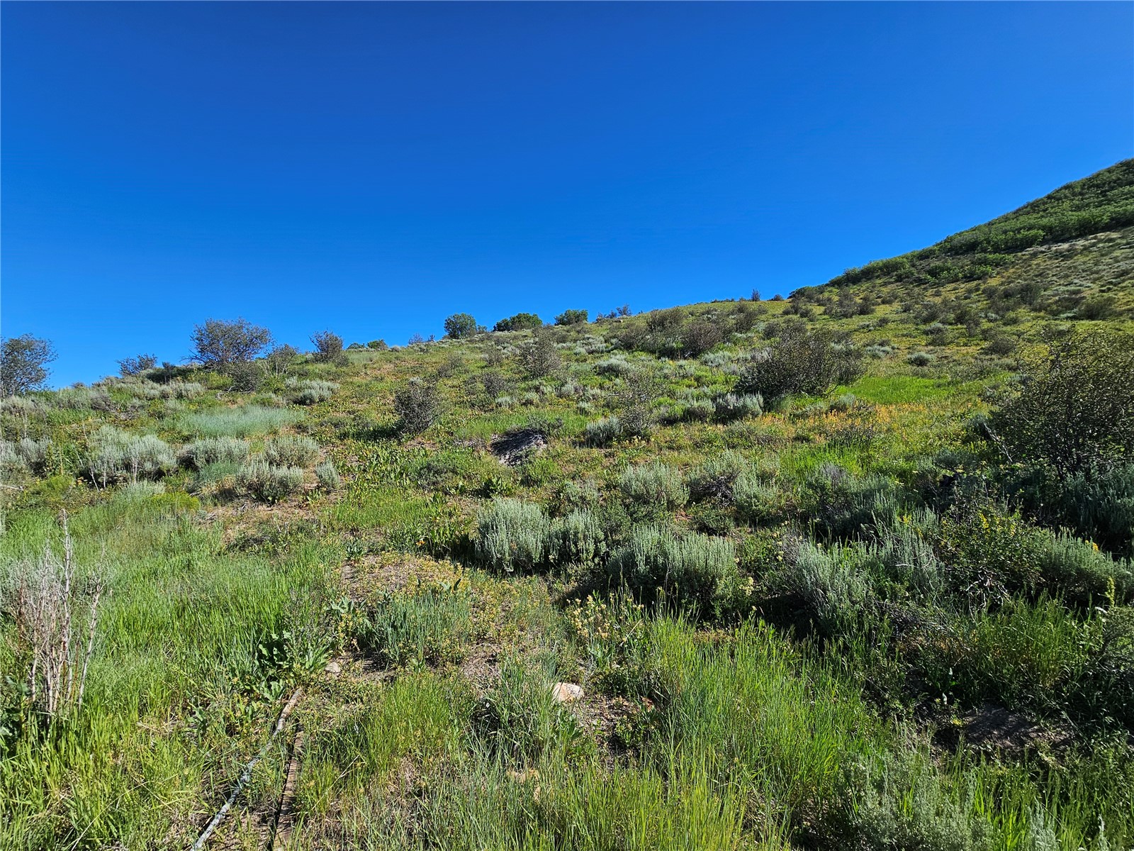 1328 Indian Trail Steamboat Springs CO 80487