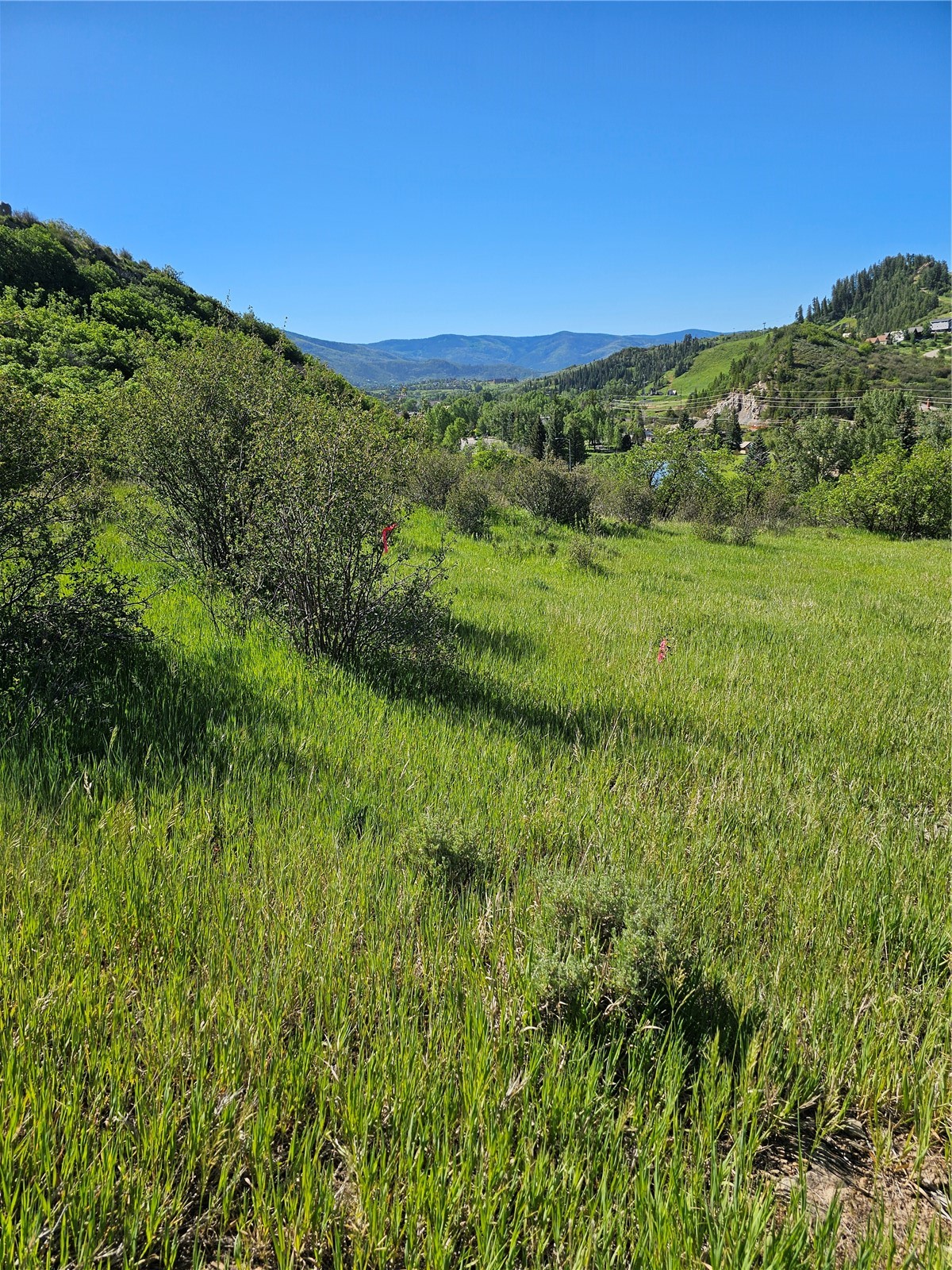 1328 Indian Trail Steamboat Springs CO 80487