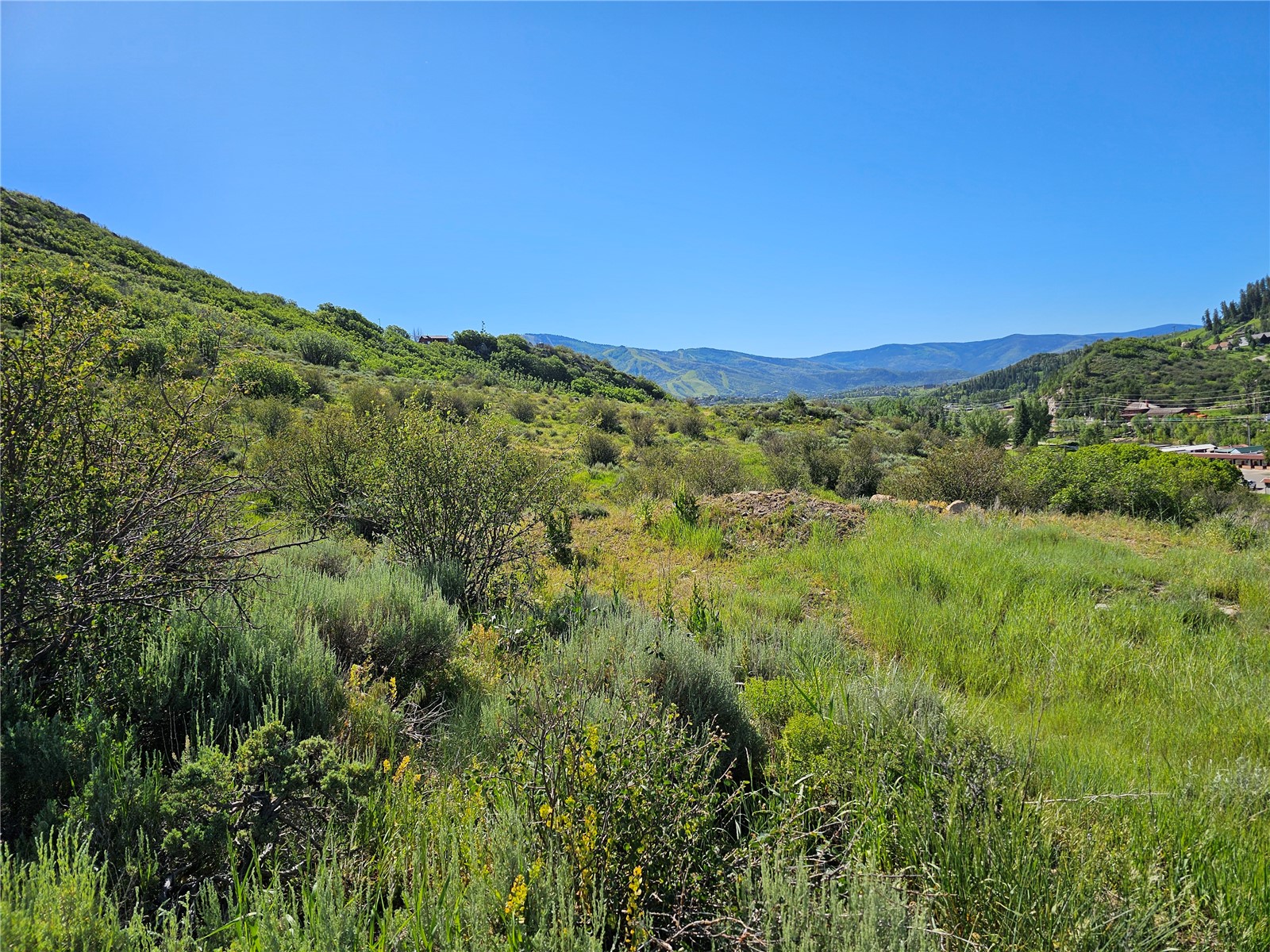 1328 Indian Trail Steamboat Springs CO 80487