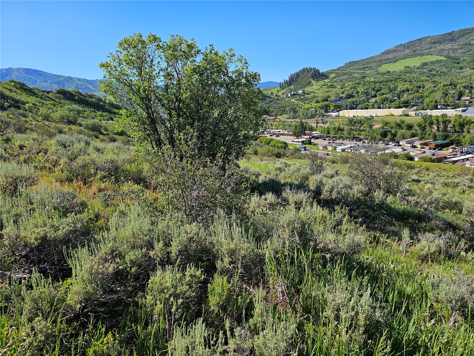 1328 Indian Trail Steamboat Springs CO 80487
