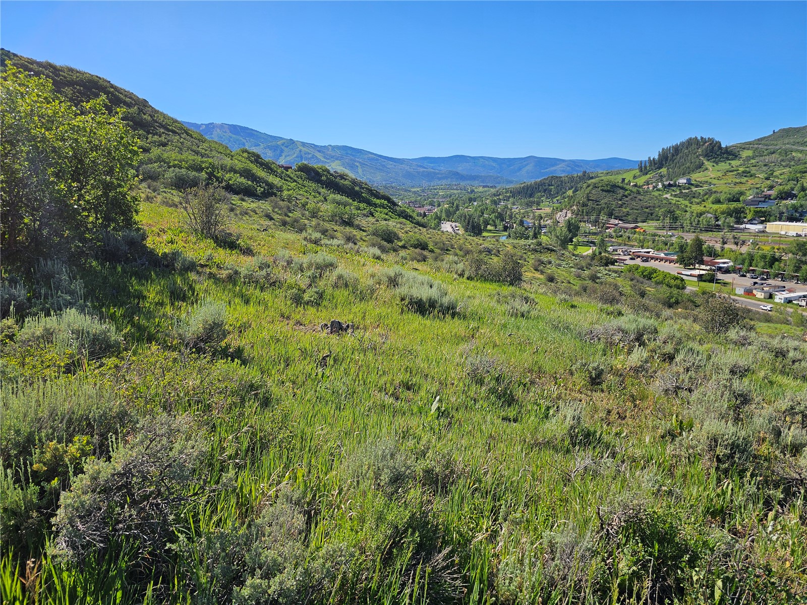 1328 Indian Trail Steamboat Springs CO 80487