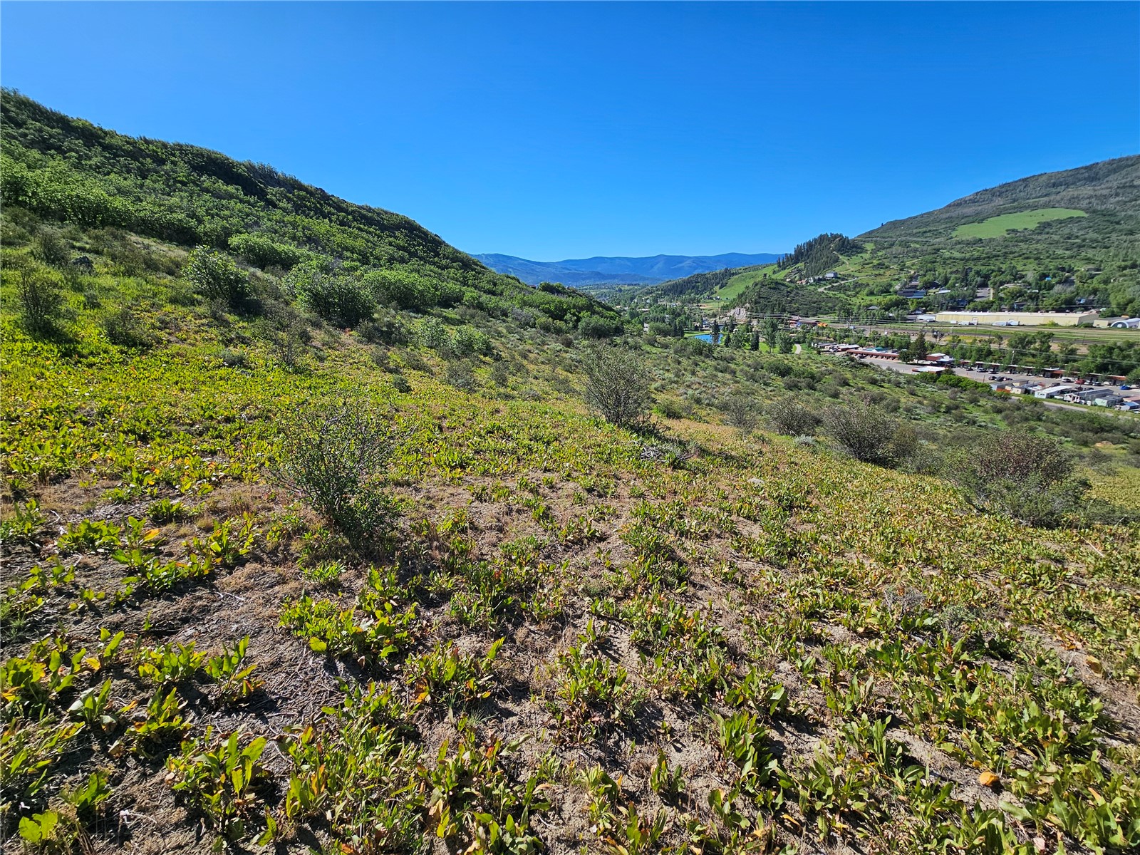 1328 Indian Trail Steamboat Springs CO 80487