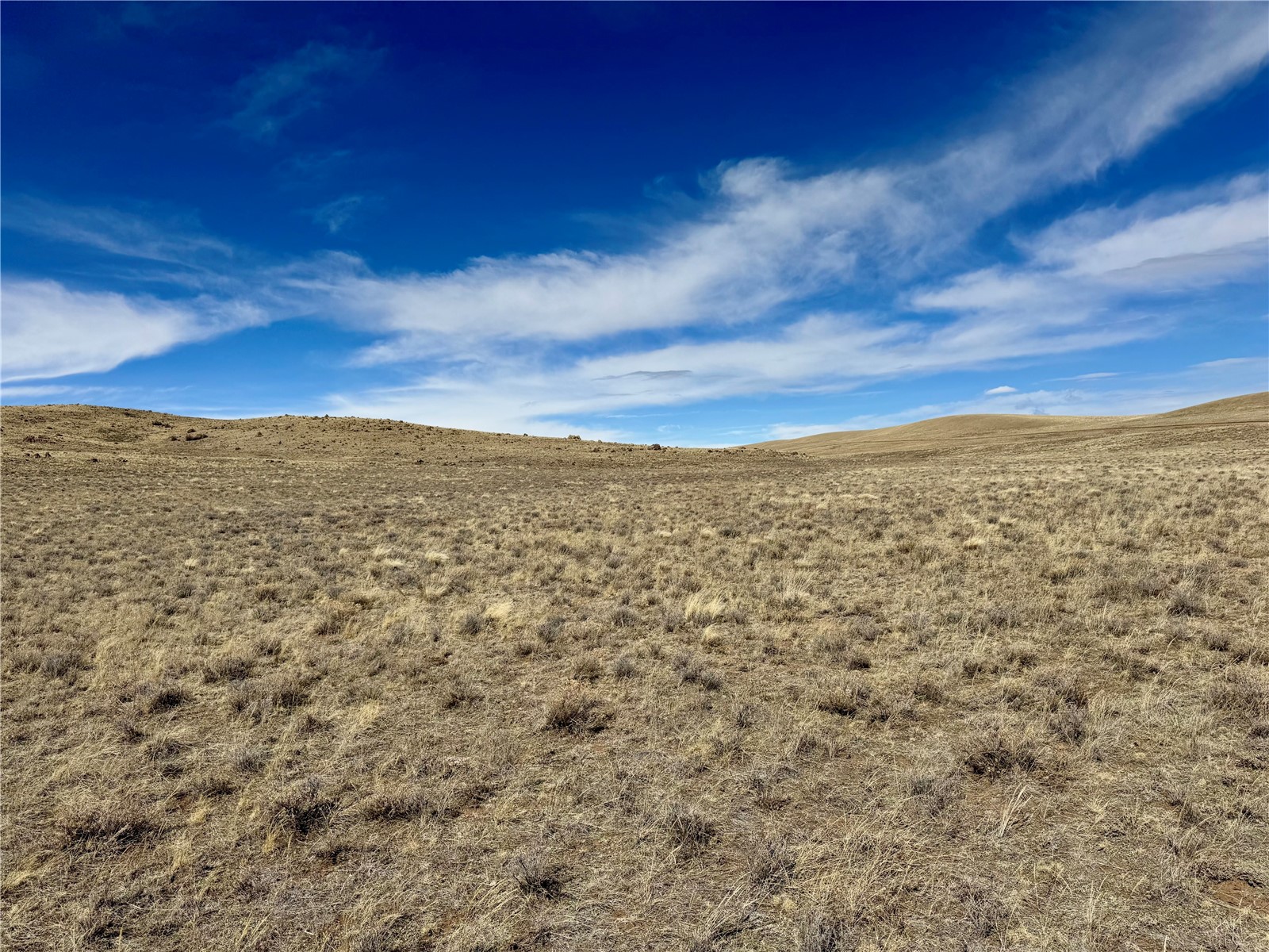 Tbd Antero Drive Hartsel CO 80449