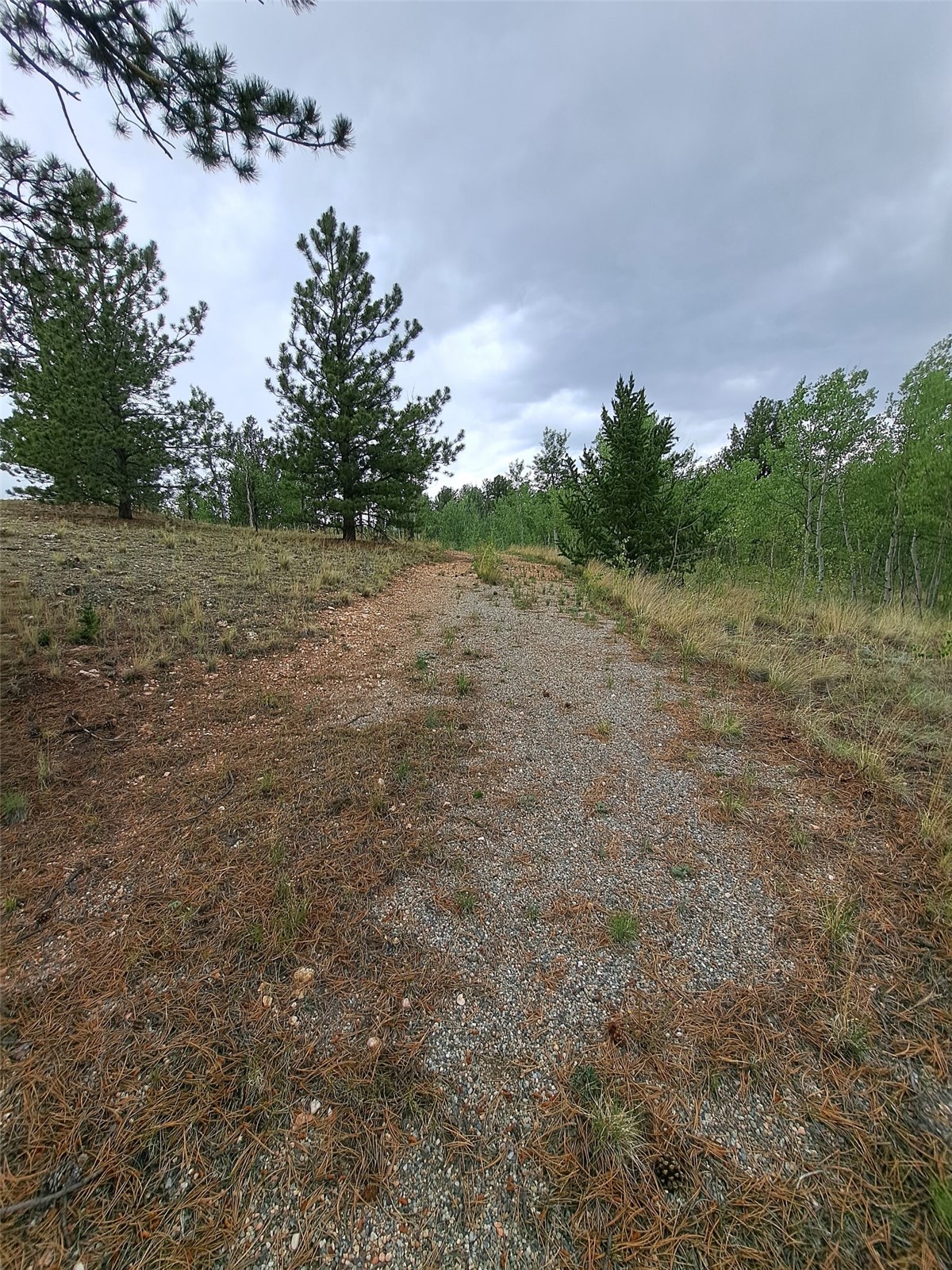 639 Spade Place Jefferson CO 80456