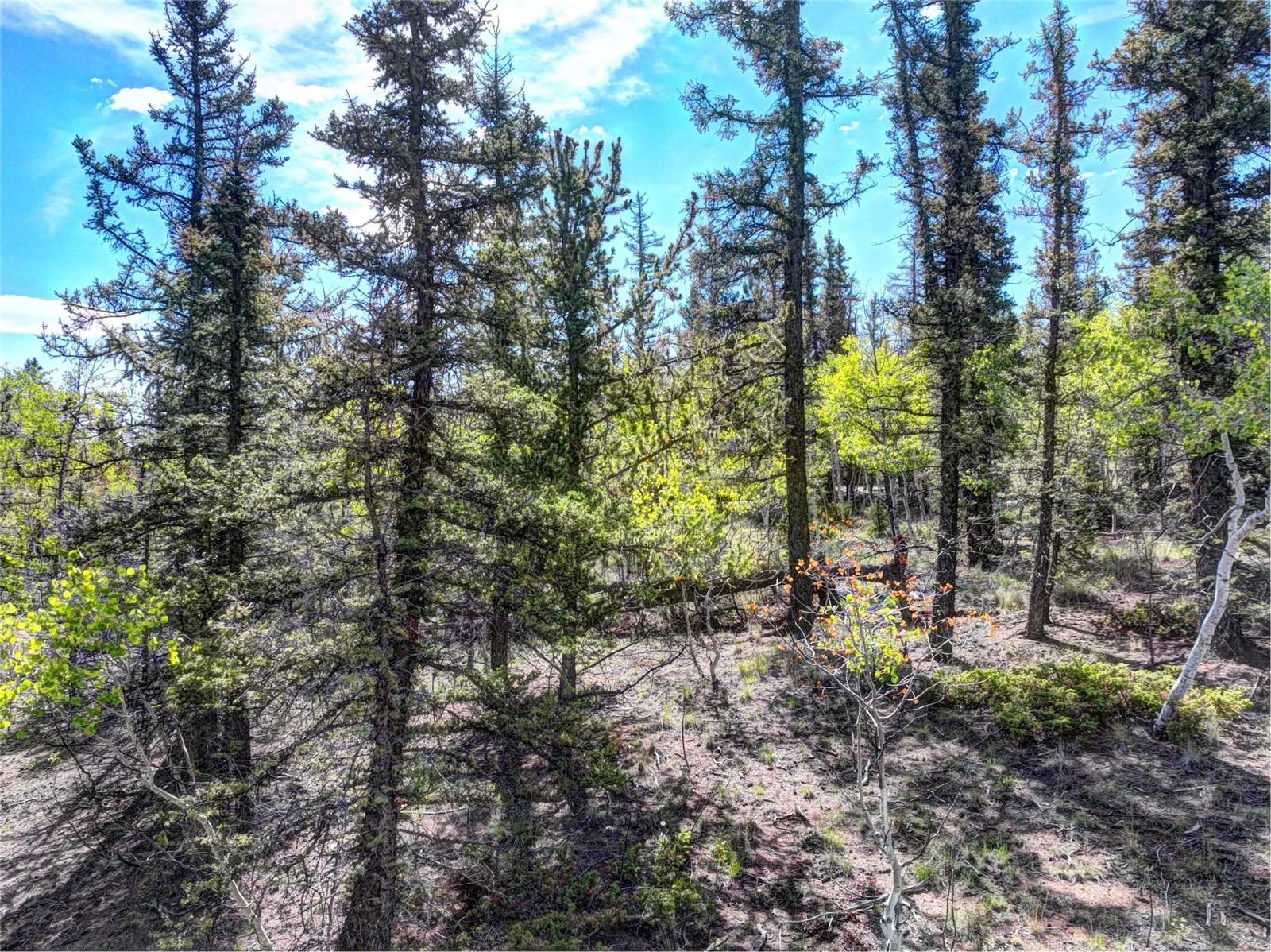 820 Overland Circle Jefferson CO 80456