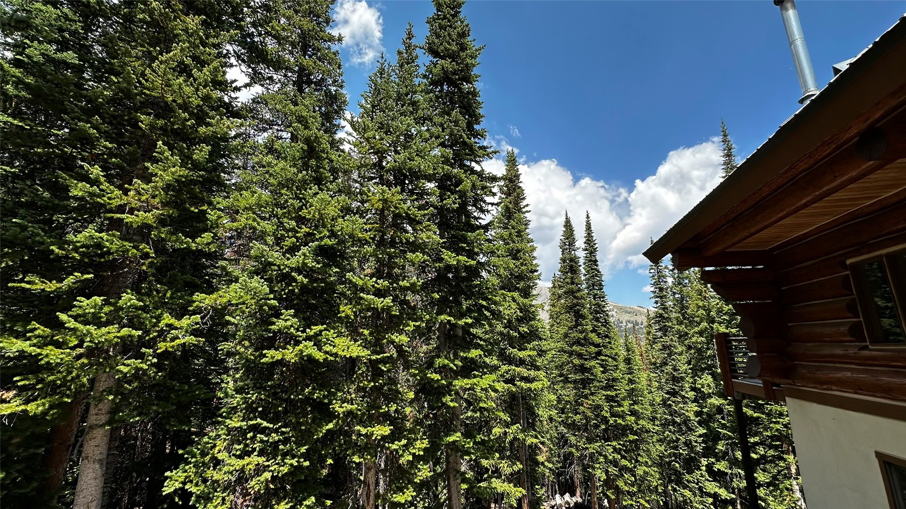 584 Camron Lane Breckenridge CO 80424