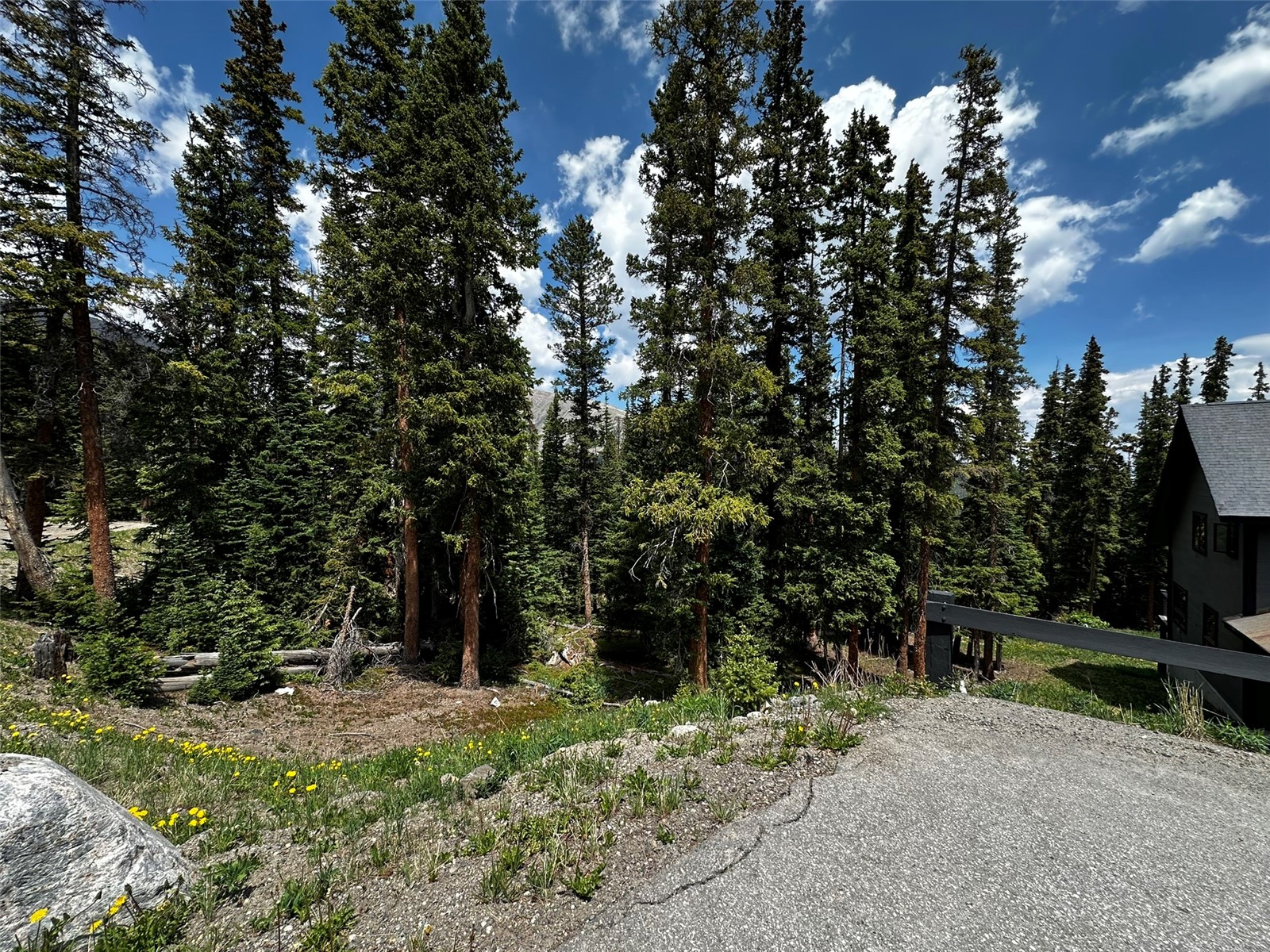 584 Camron Lane Breckenridge CO 80424