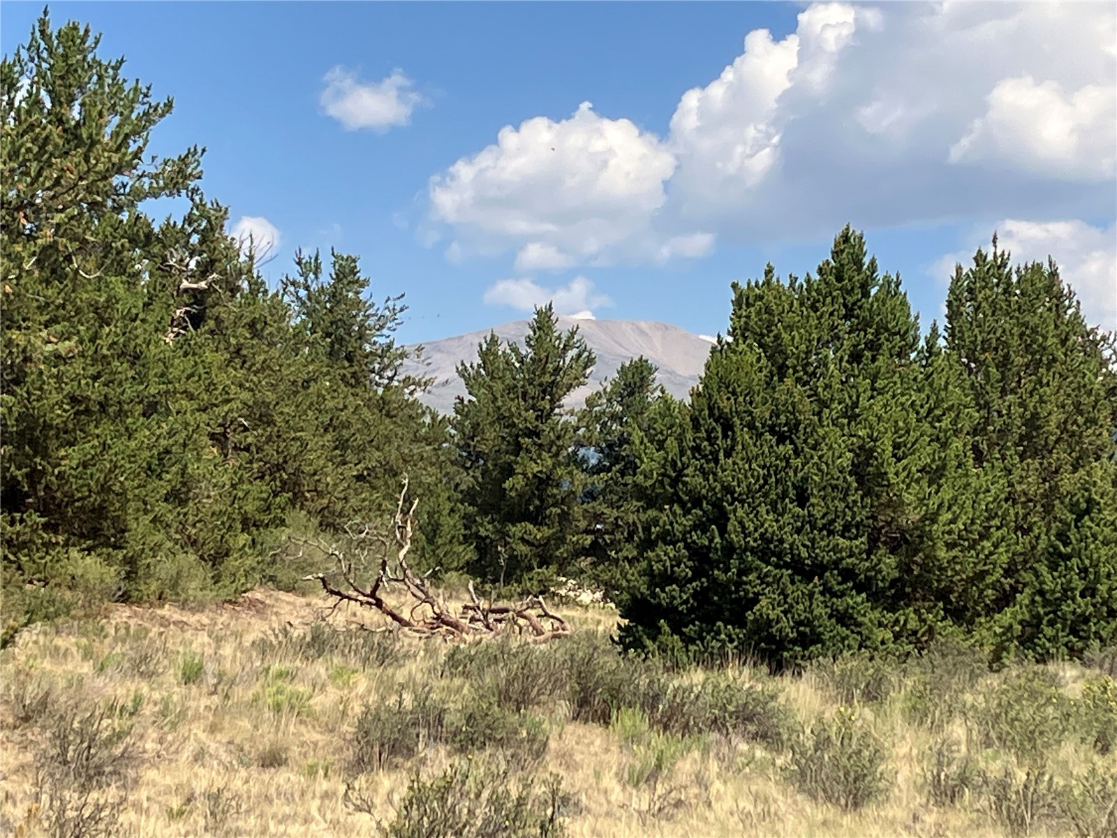 1344 Silverheels Road Fairplay CO 80440