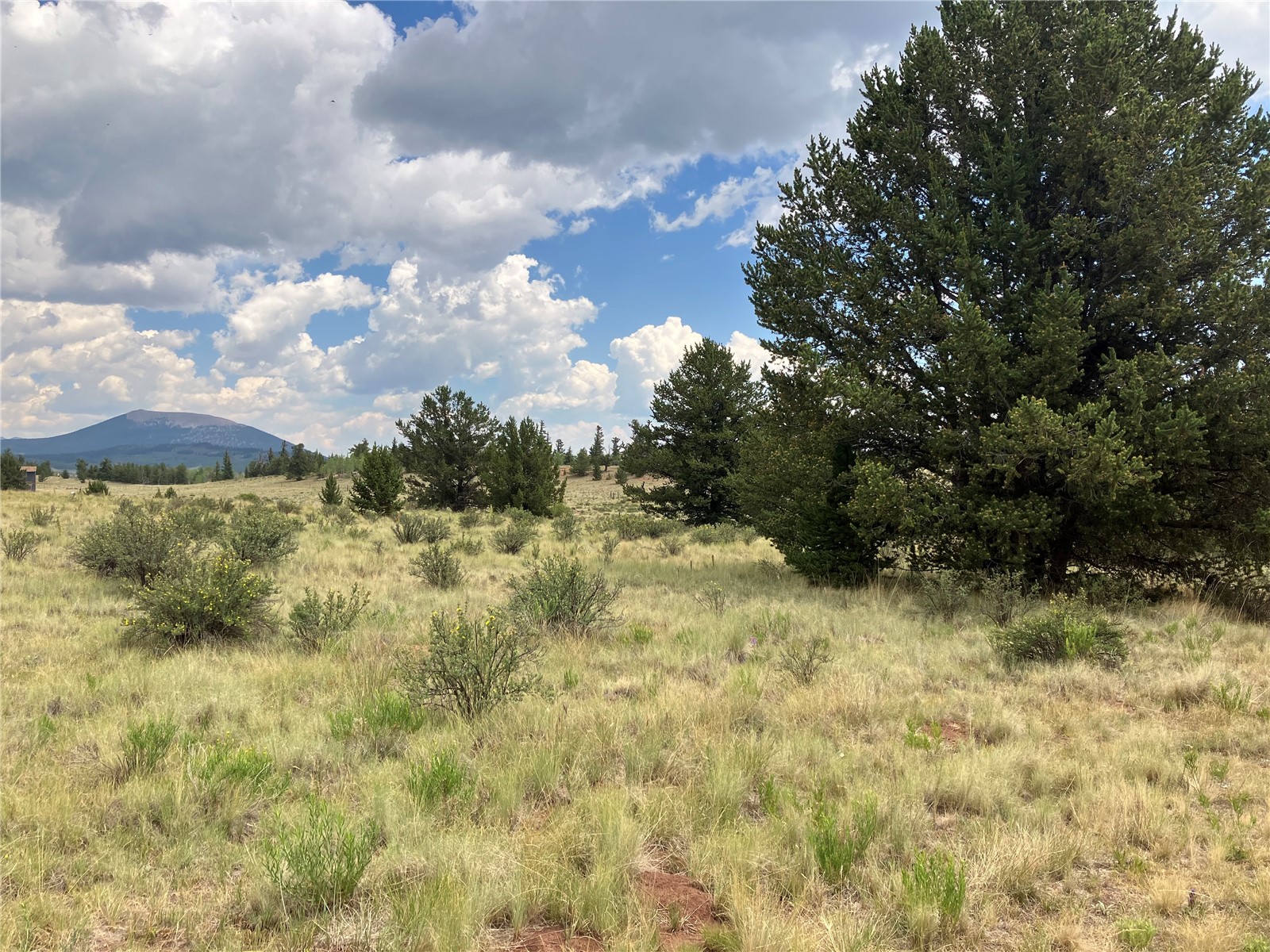 1344 Silverheels Road Fairplay CO 80440