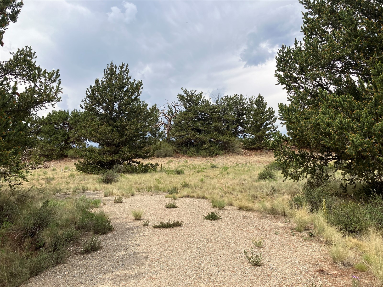 1344 Silverheels Road Fairplay CO 80440