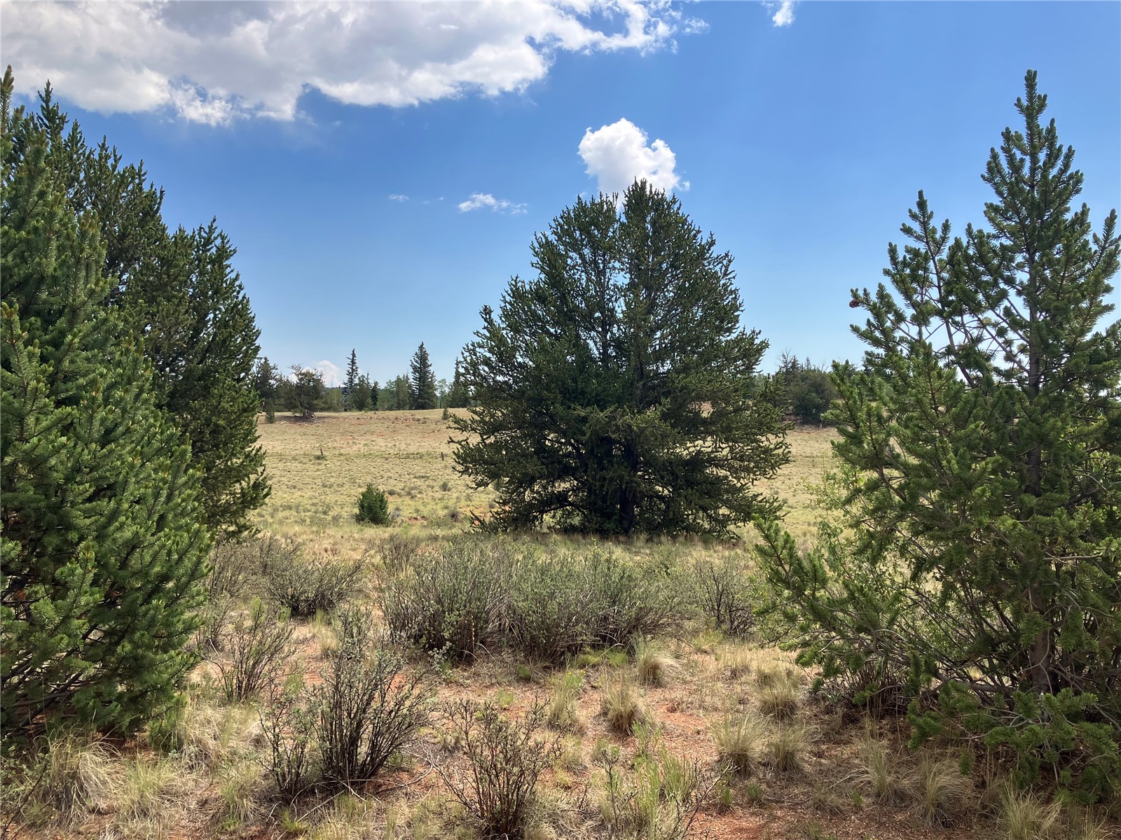 1344 Silverheels Road Fairplay CO 80440