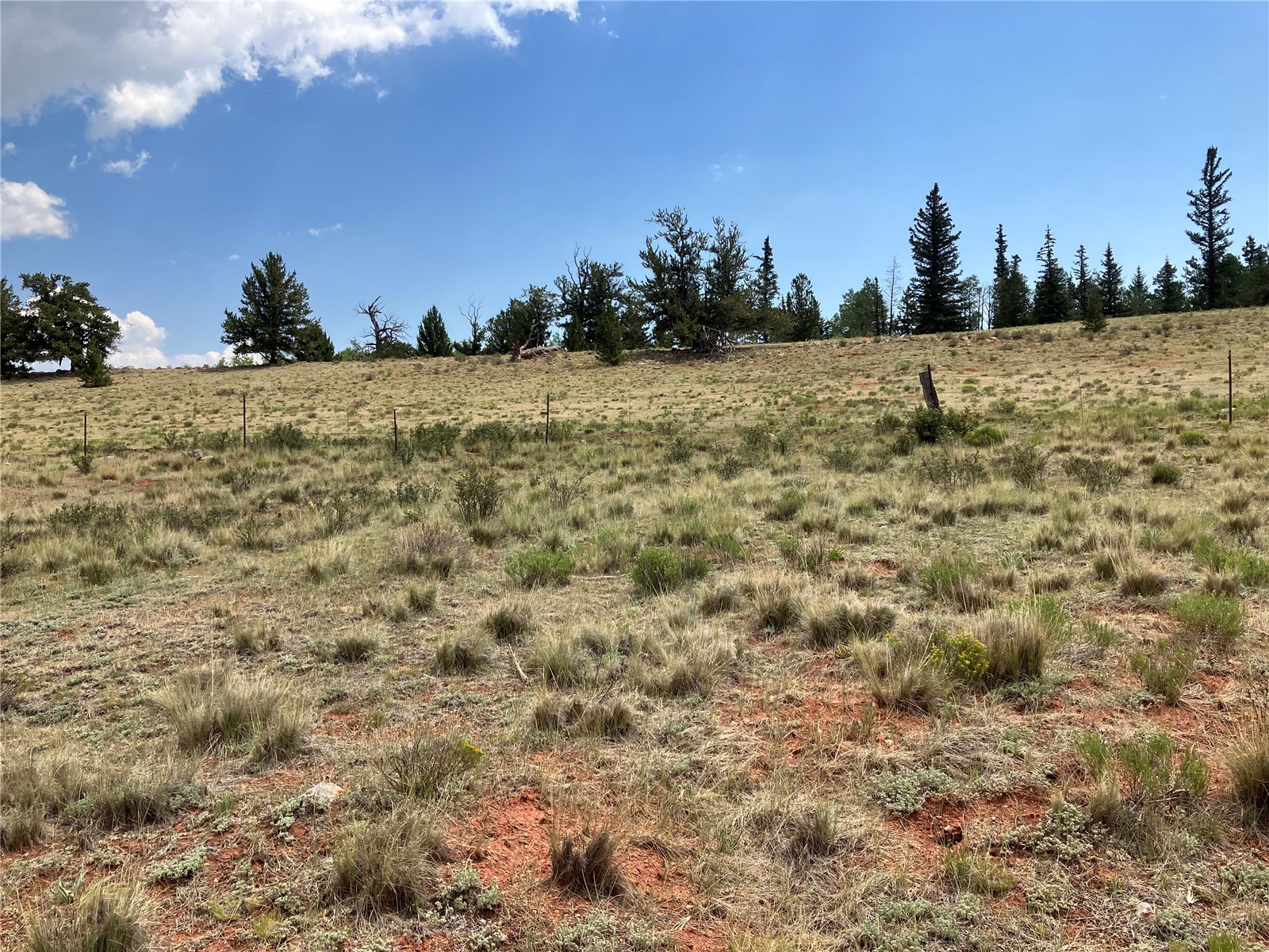 1344 Silverheels Road Fairplay CO 80440