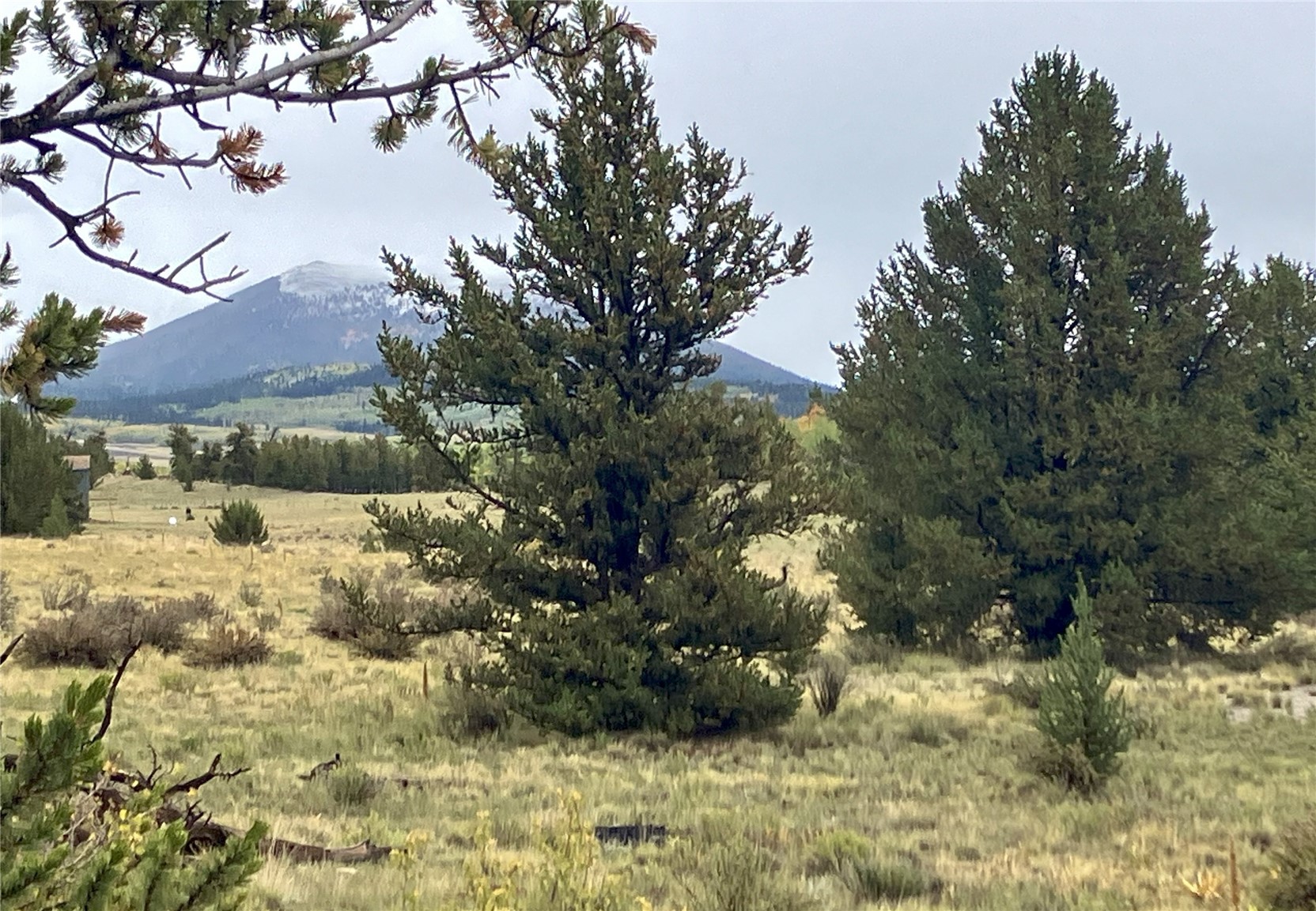 1344 Silverheels Road Fairplay CO 80440