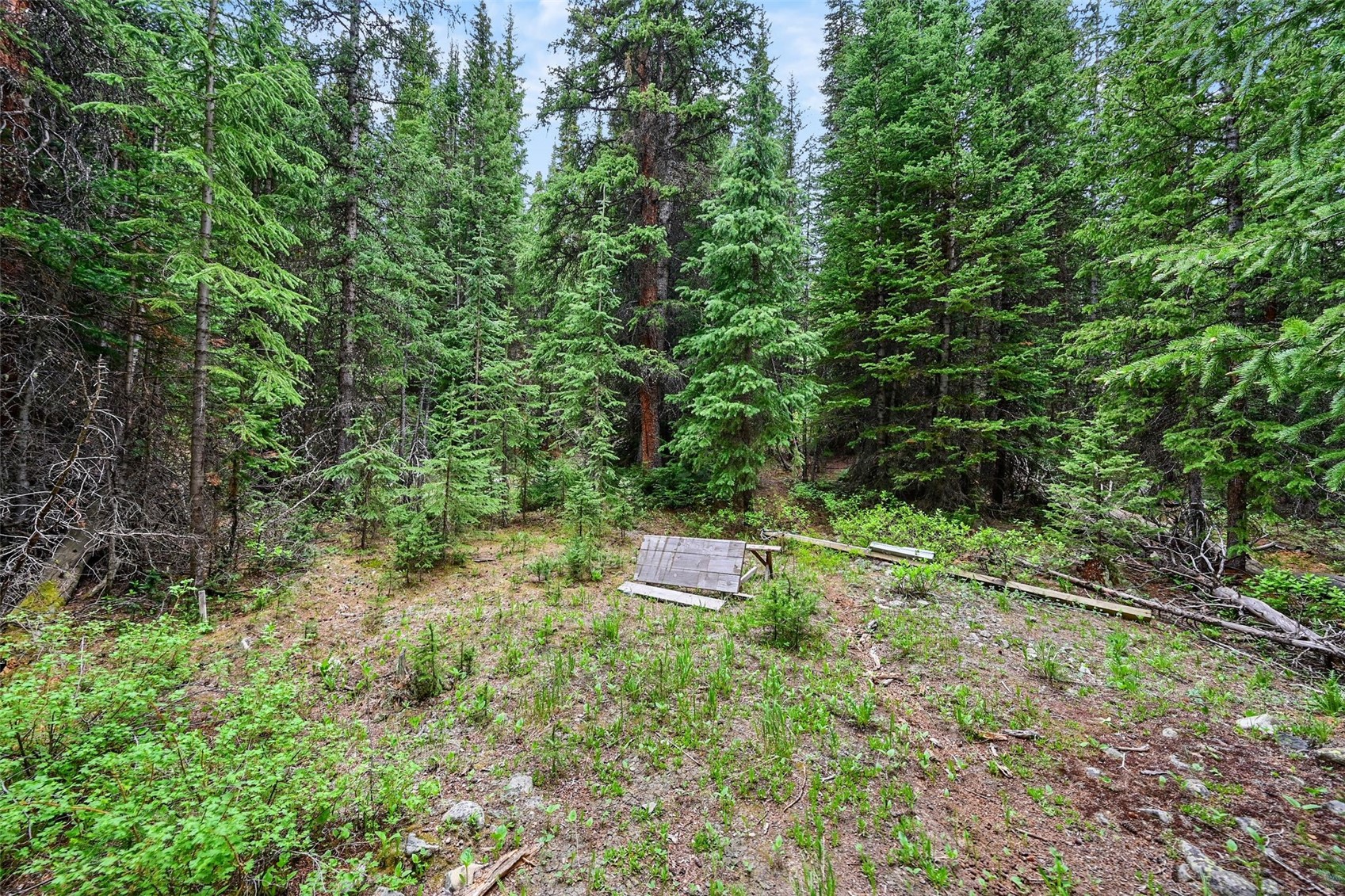 286 County Road 675 Breckenridge CO 80424