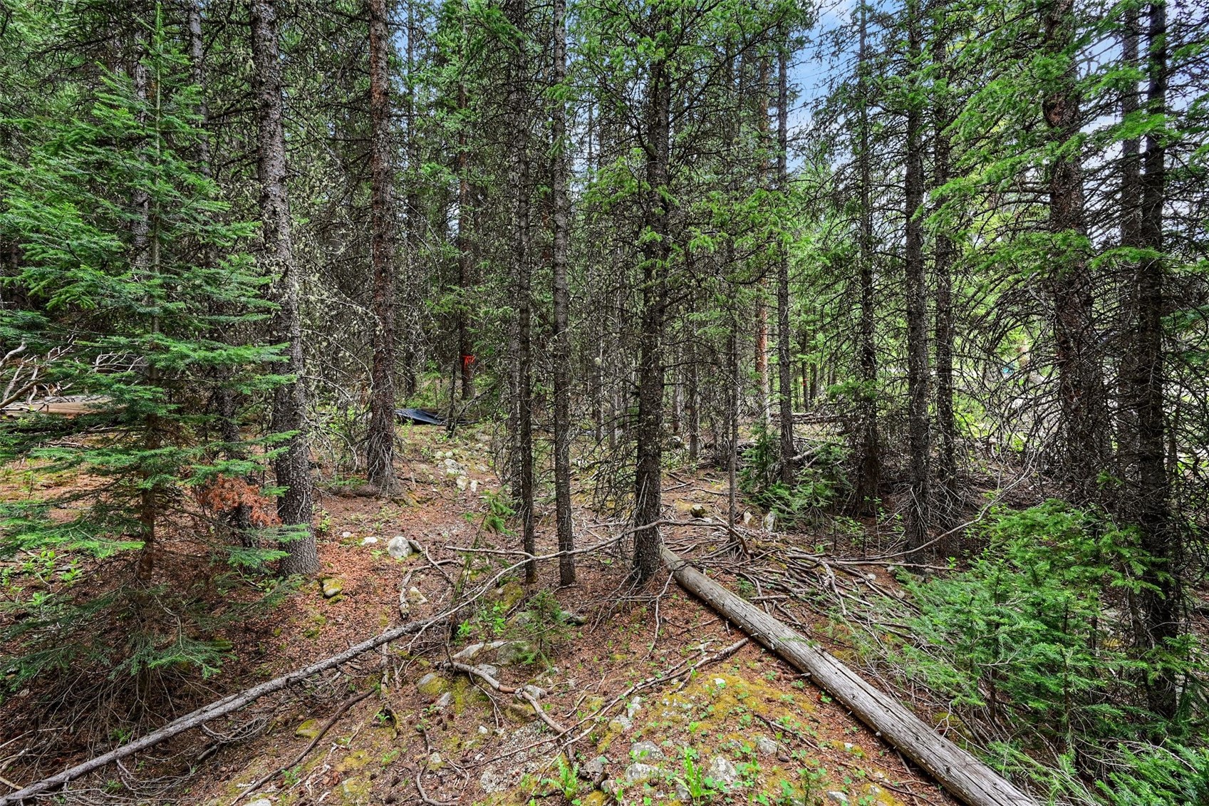 286 County Road 675 Breckenridge CO 80424