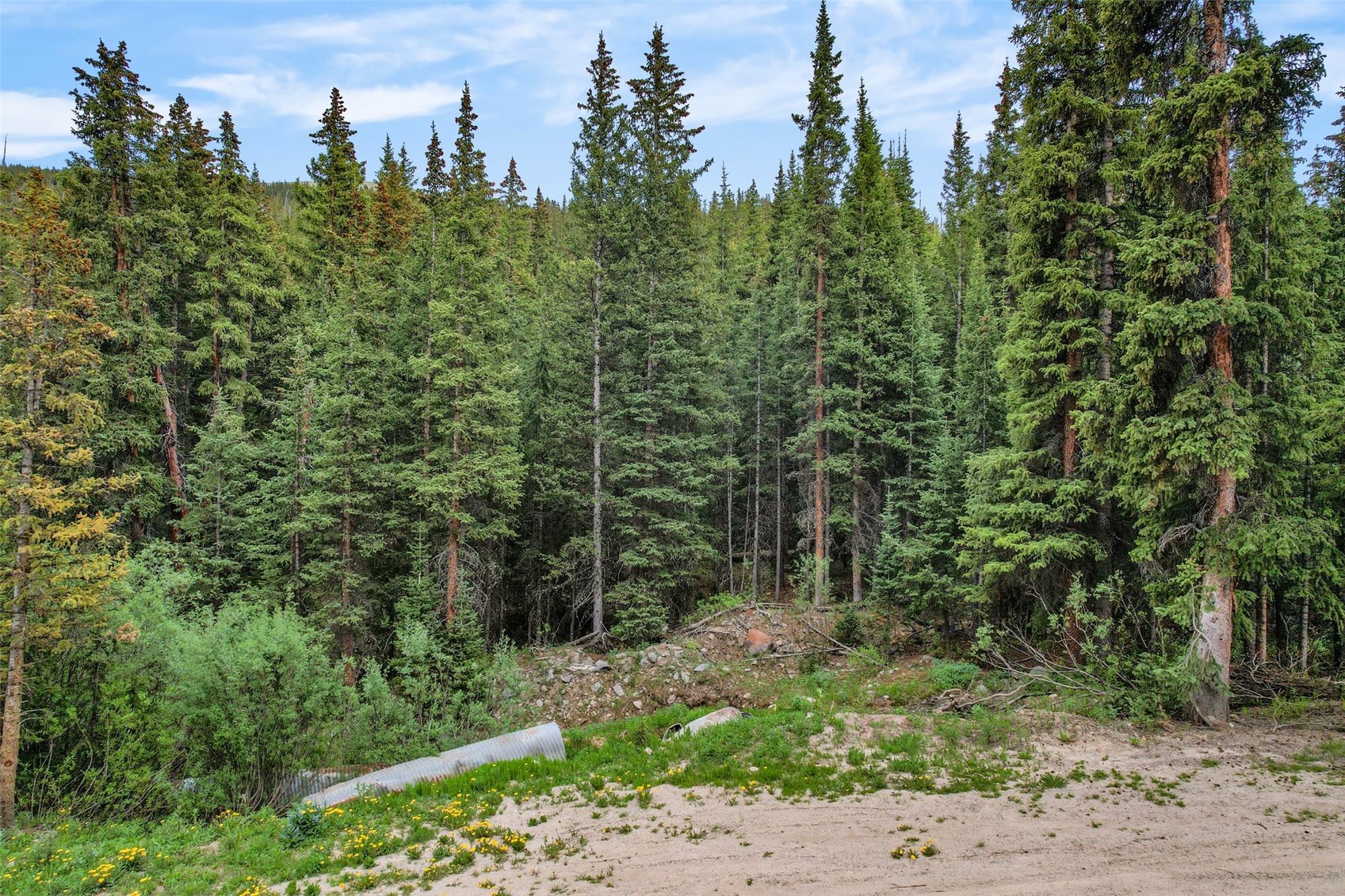 286 County Road 675 Breckenridge CO 80424