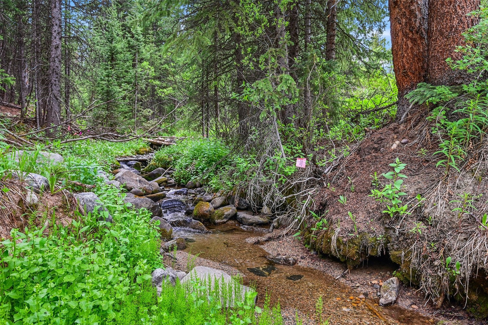 286 County Road 675 Breckenridge CO 80424
