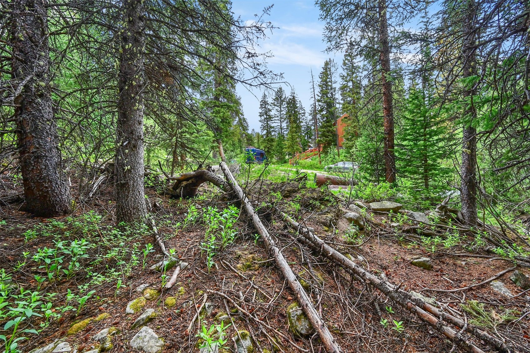 286 County Road 675 Breckenridge CO 80424