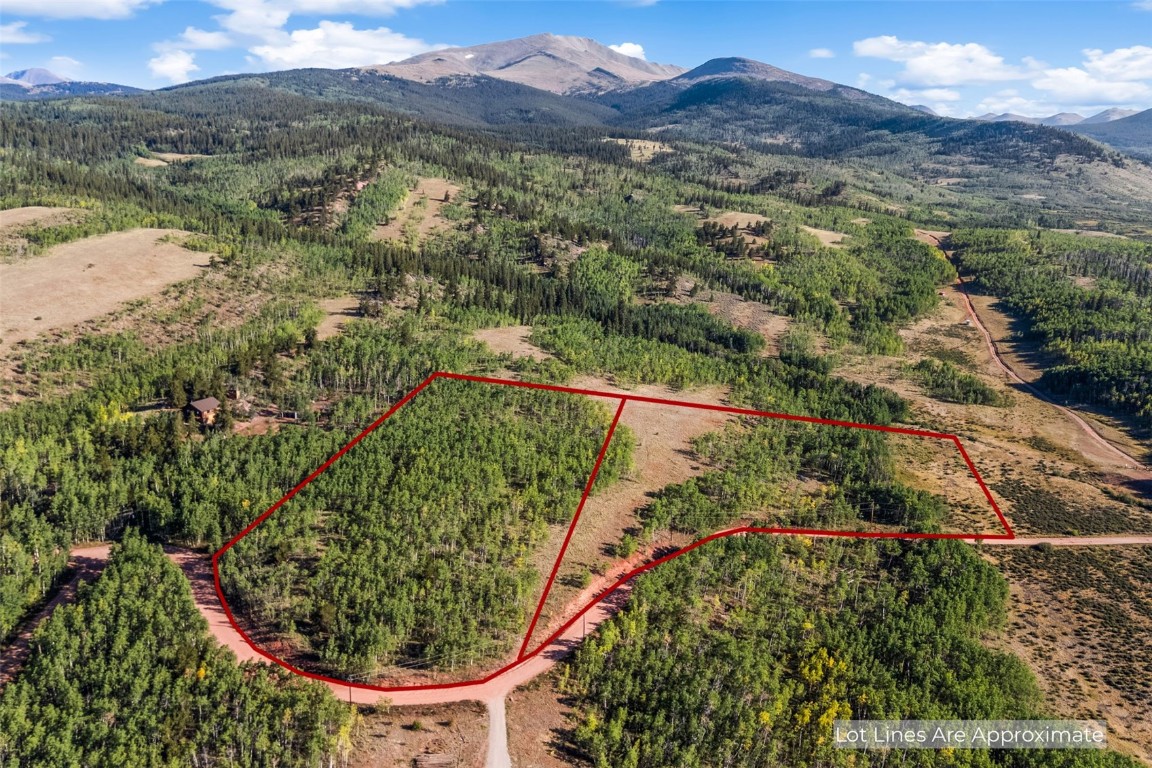 1013 Palmer Peak Drive Fairplay CO 80440