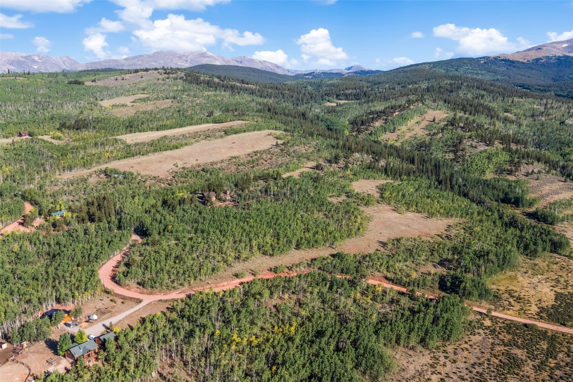 1013 Palmer Peak Drive Fairplay CO 80440