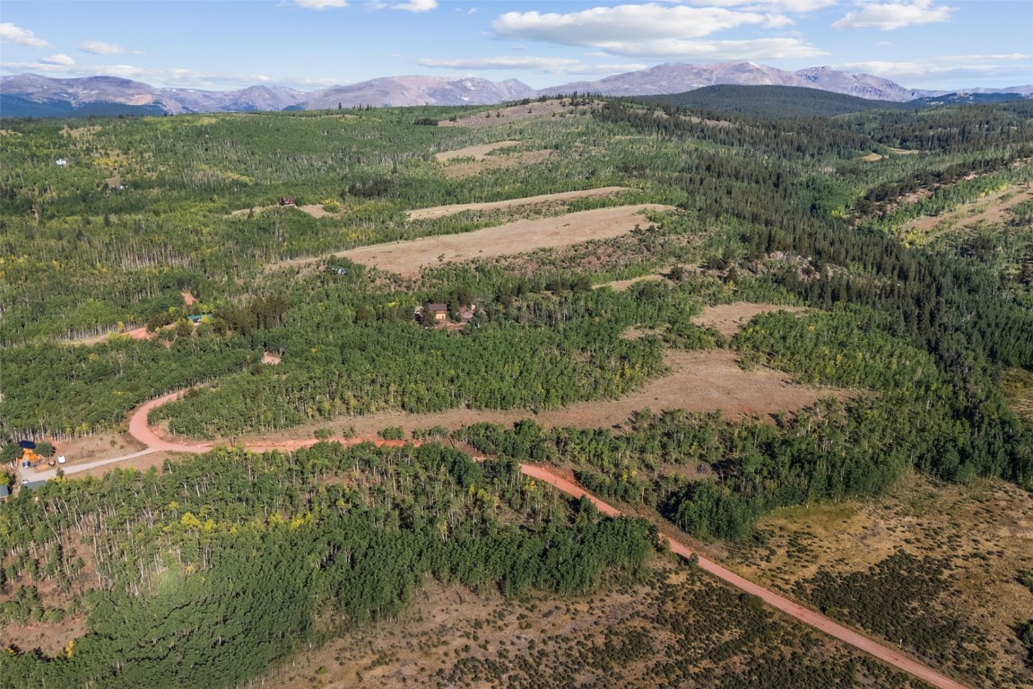 1013 Palmer Peak Drive Fairplay CO 80440