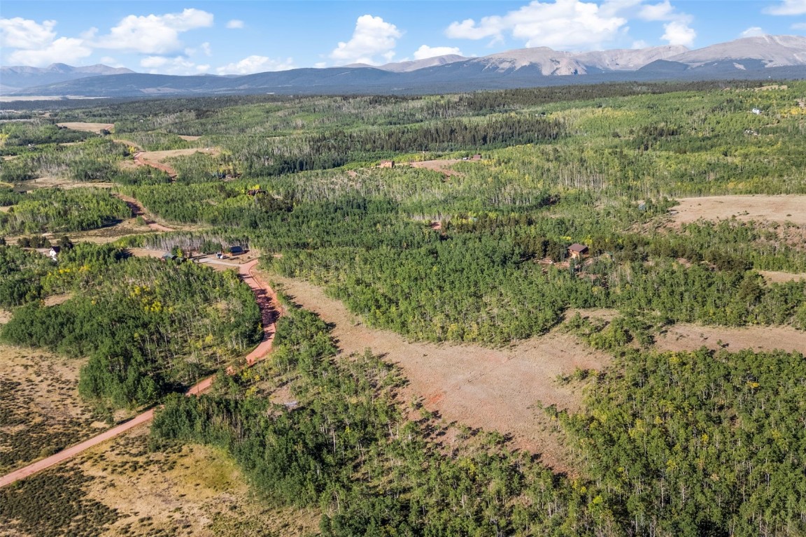 1013 Palmer Peak Drive Fairplay CO 80440