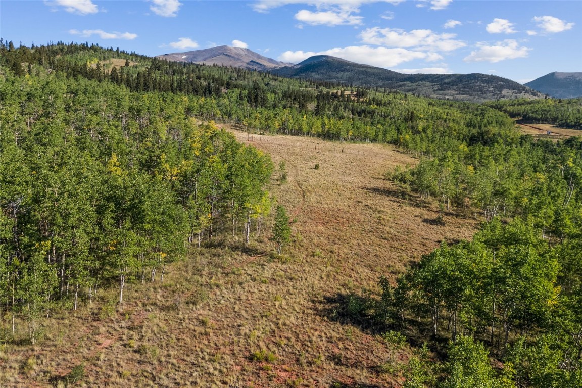 1013 Palmer Peak Drive Fairplay CO 80440