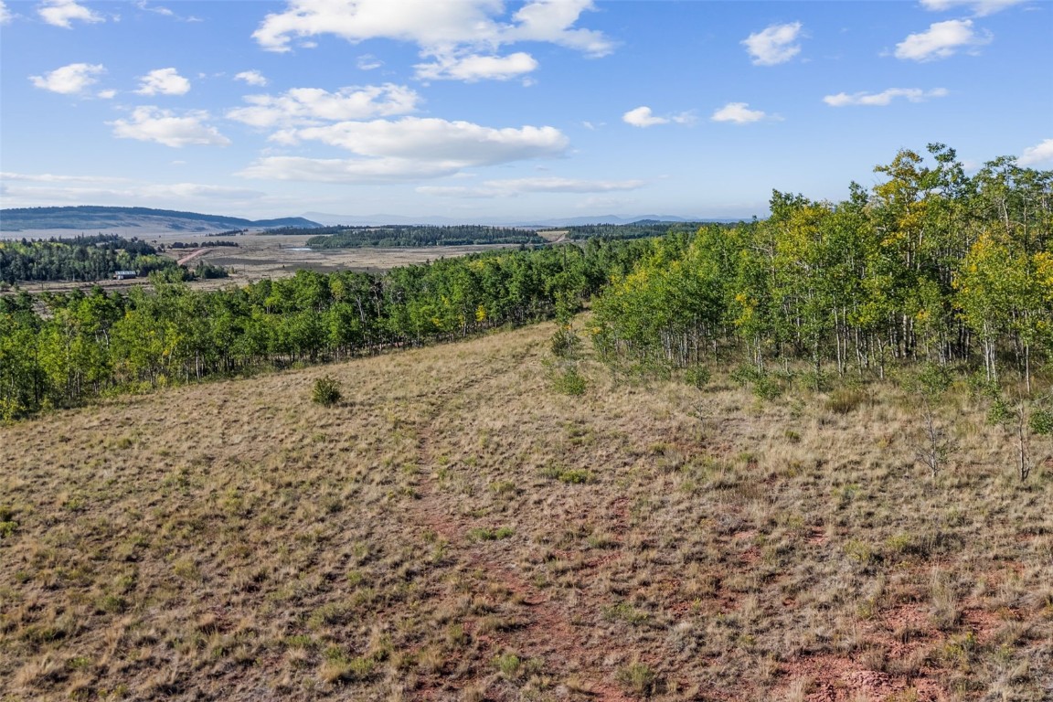 1013 Palmer Peak Drive Fairplay CO 80440