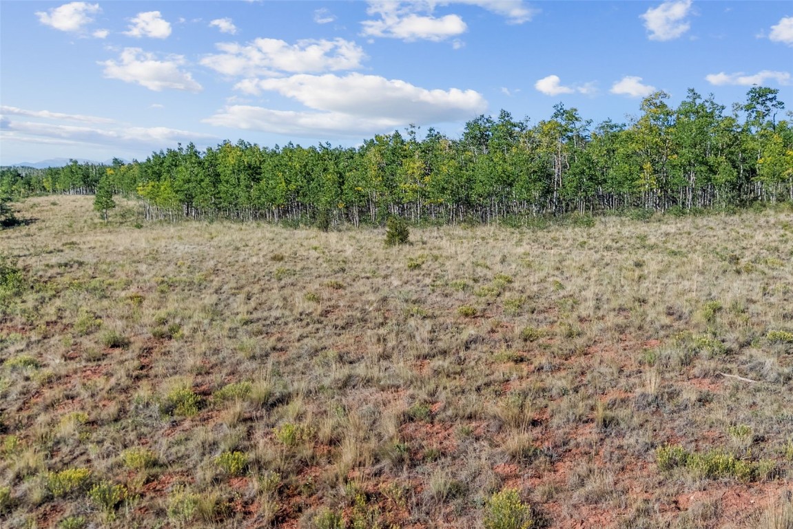 1013 Palmer Peak Drive Fairplay CO 80440
