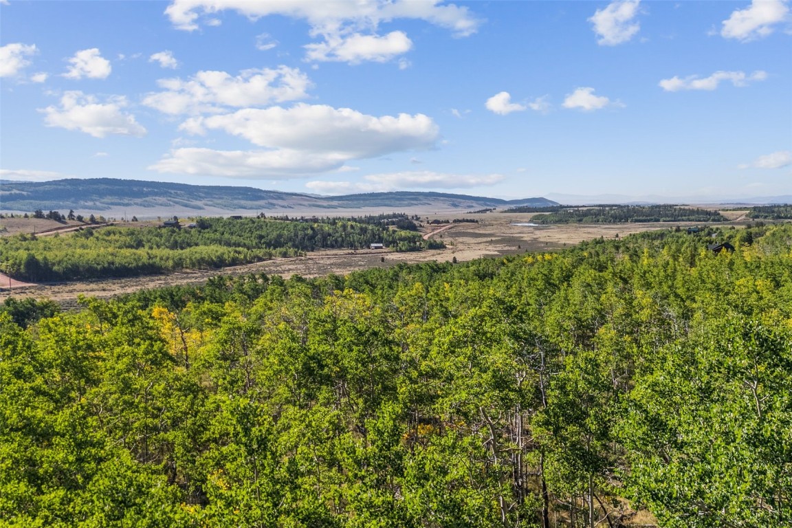 1013 Palmer Peak Drive Fairplay CO 80440