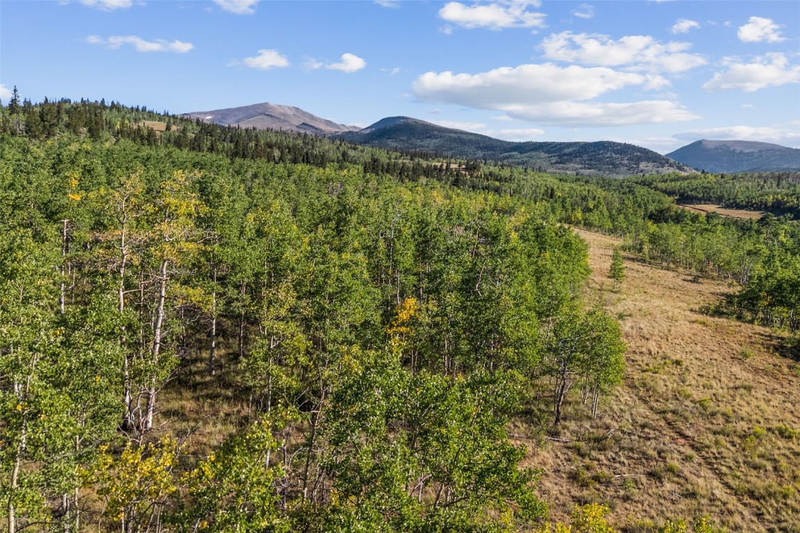 1013 Palmer Peak Drive Fairplay CO 80440