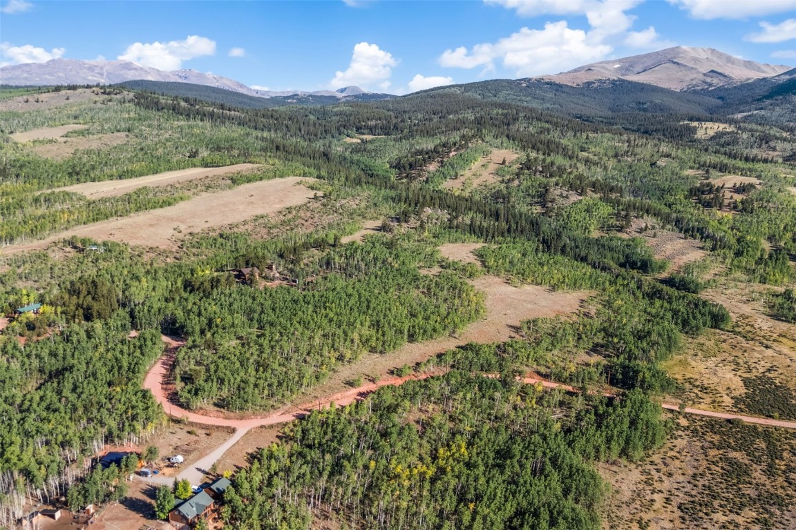 1013 Palmer Peak Drive Fairplay CO 80440