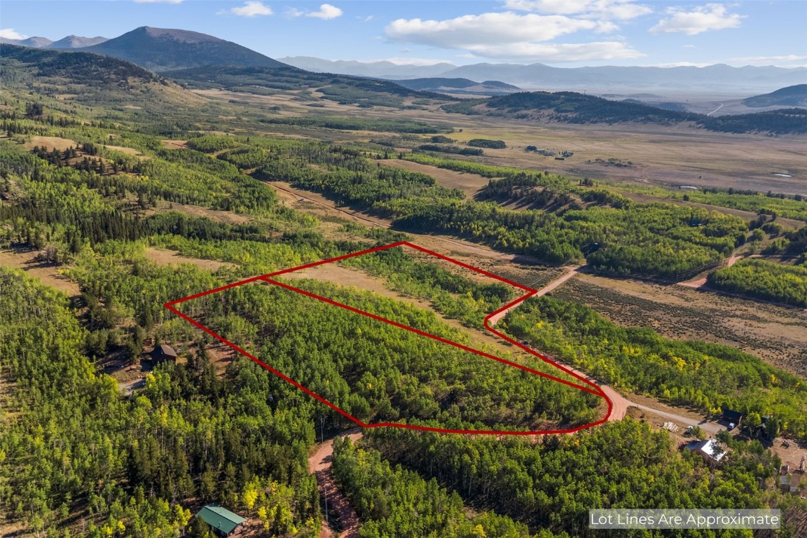 1013 Palmer Peak Drive Fairplay CO 80440