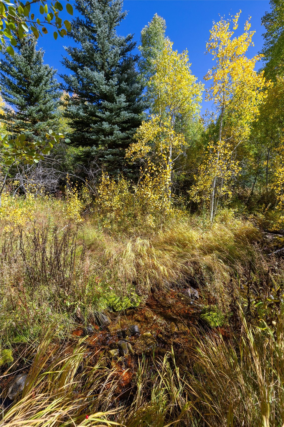0 Tbd Frying Pan Road Other CO 81621