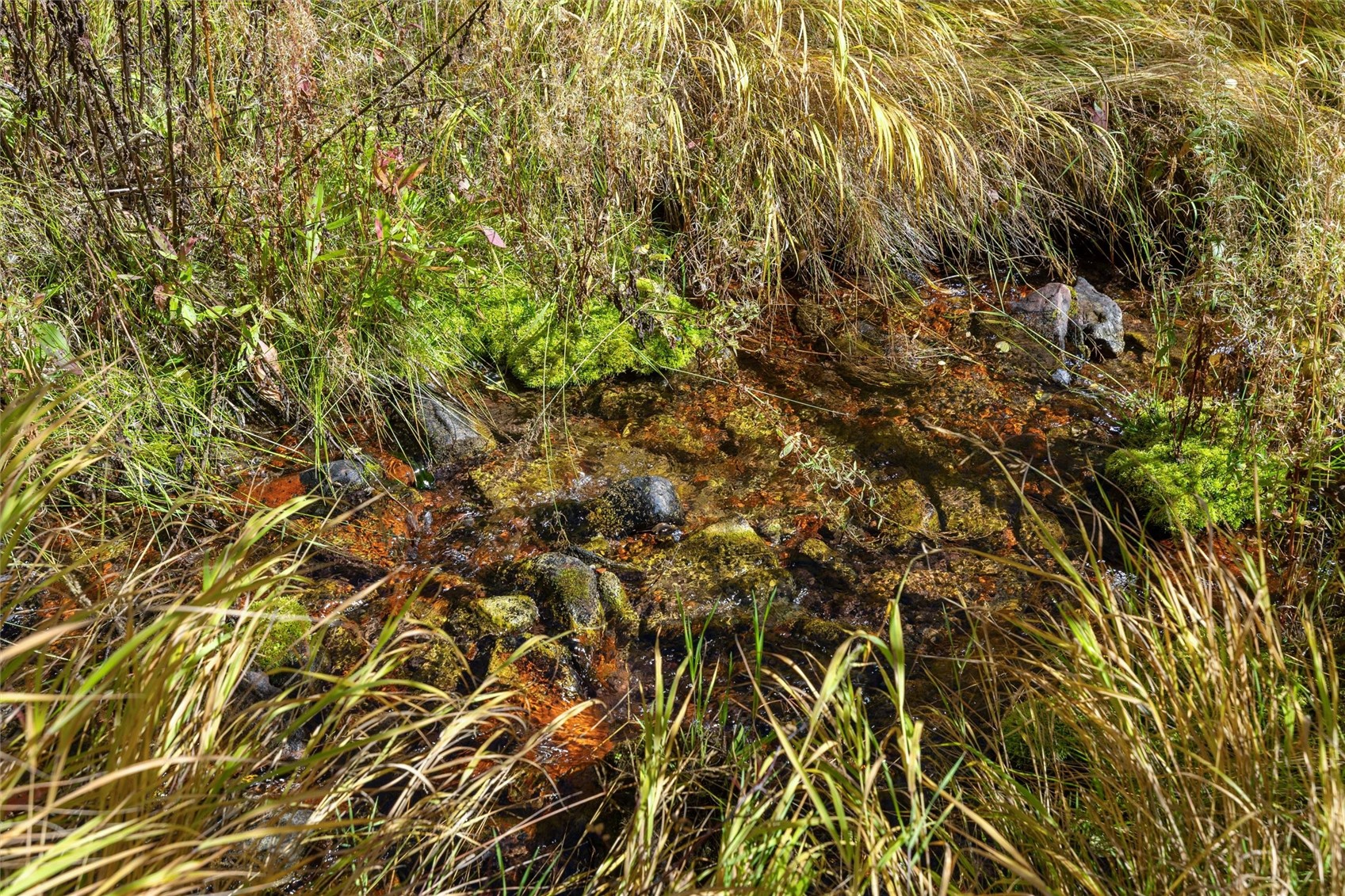 0 Tbd Frying Pan Road Other CO 81621