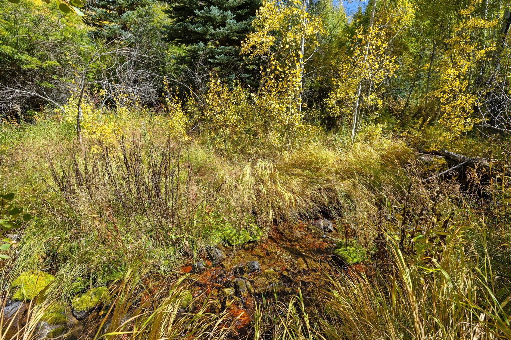 0 Tbd Frying Pan Road Other CO 81621