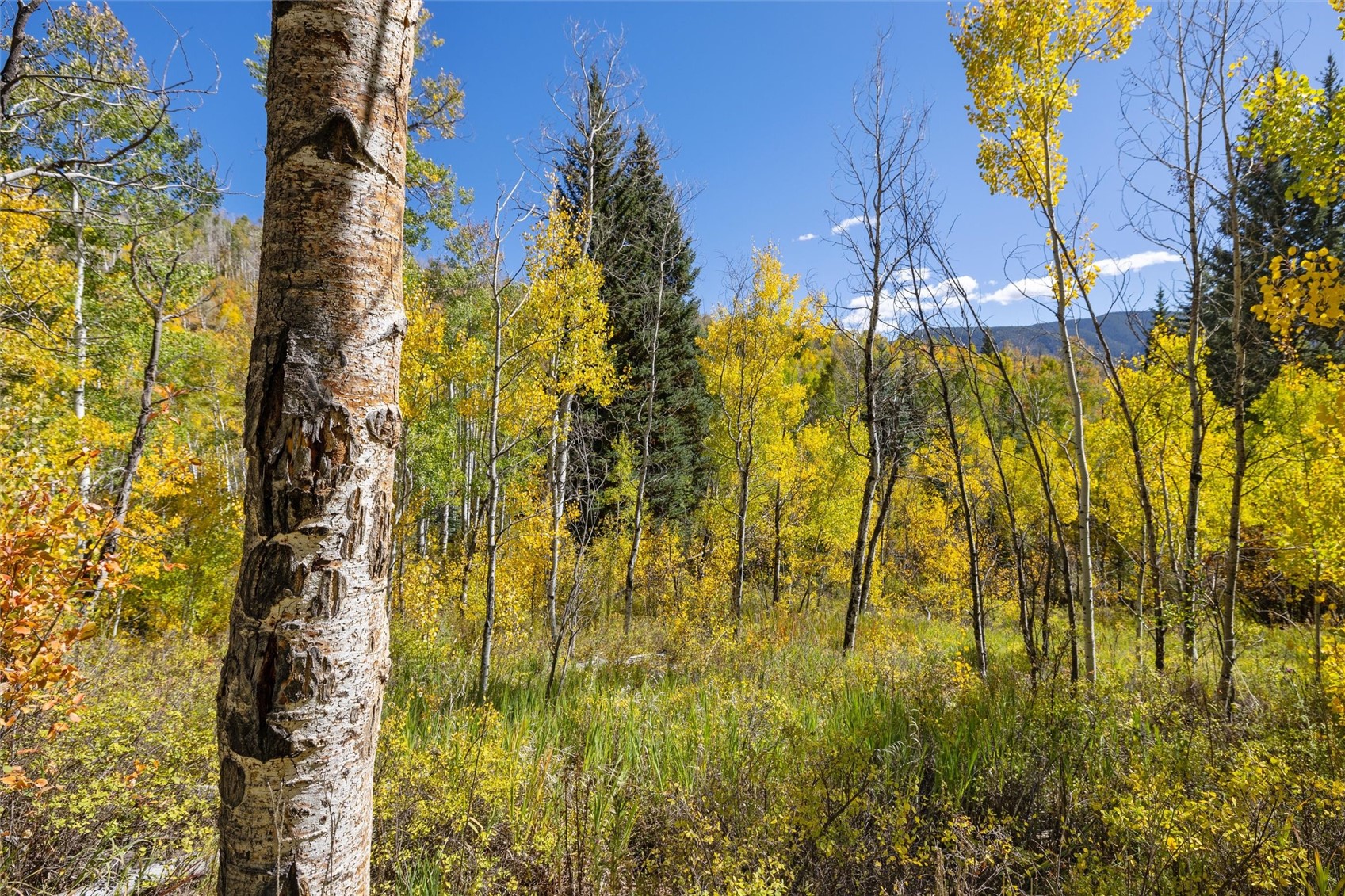 0 Tbd Frying Pan Road Other CO 81621