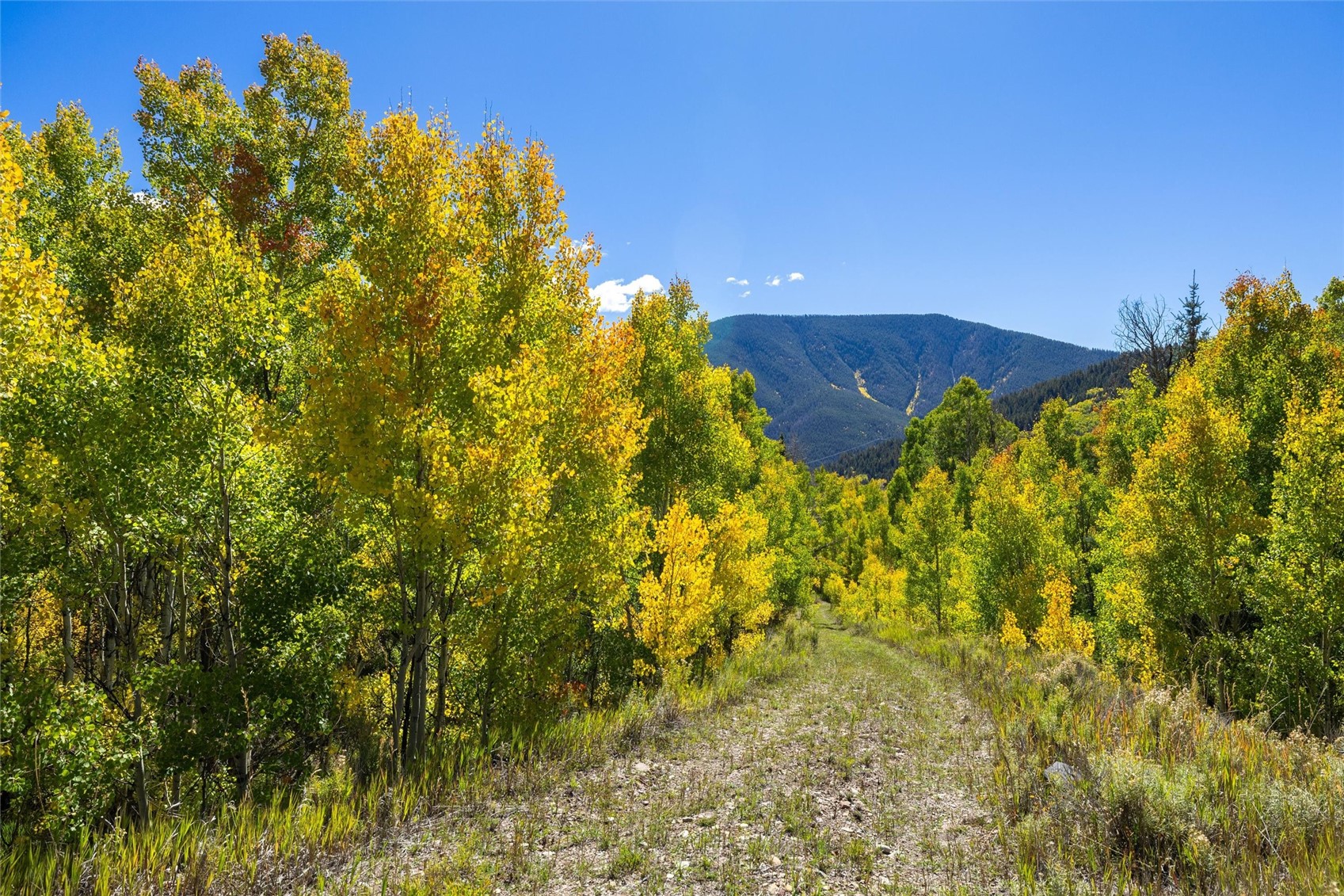 0 Tbd Frying Pan Road Other CO 81621