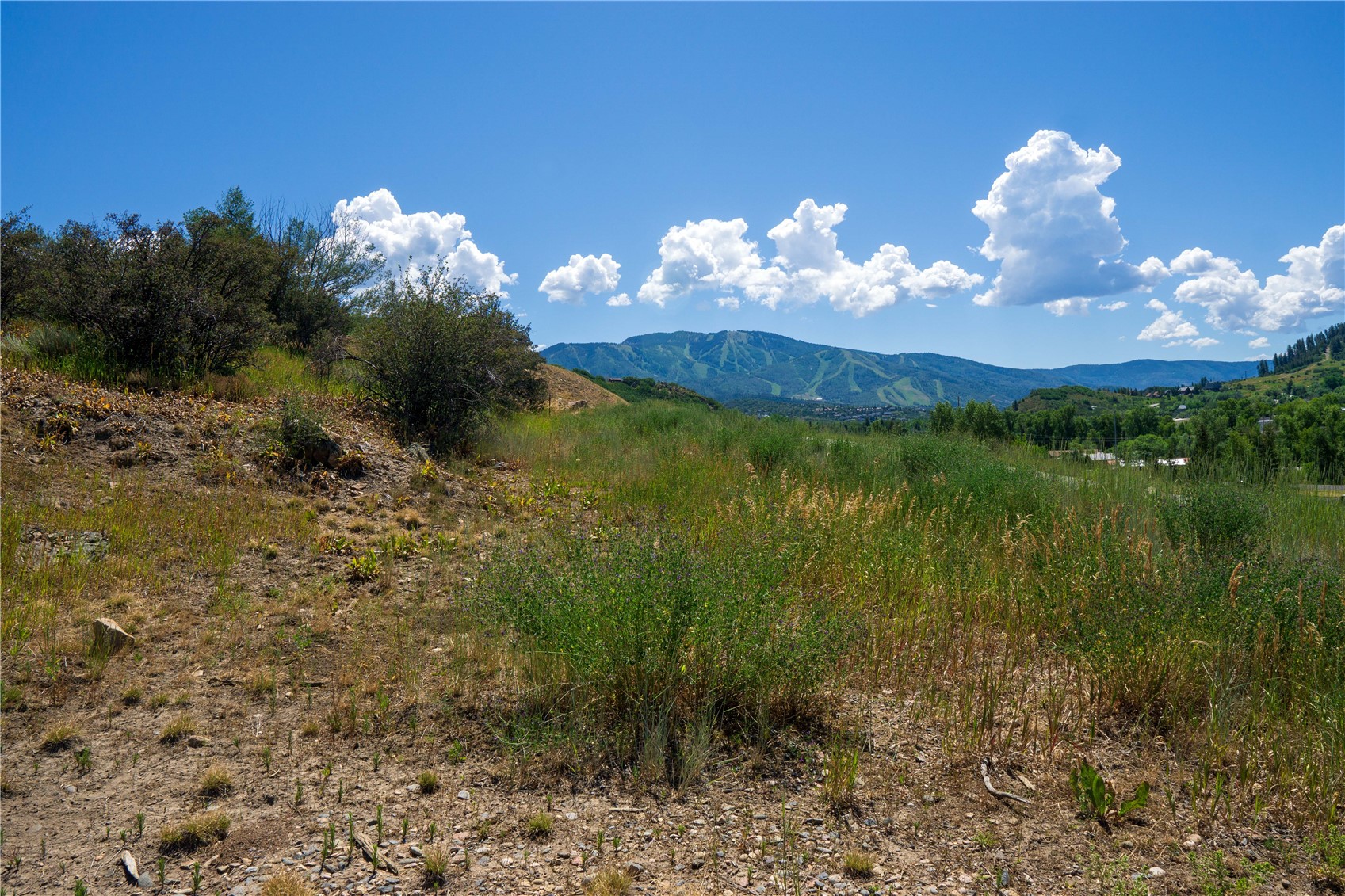 1569 Conestoga Circle Steamboat Springs CO 80487
