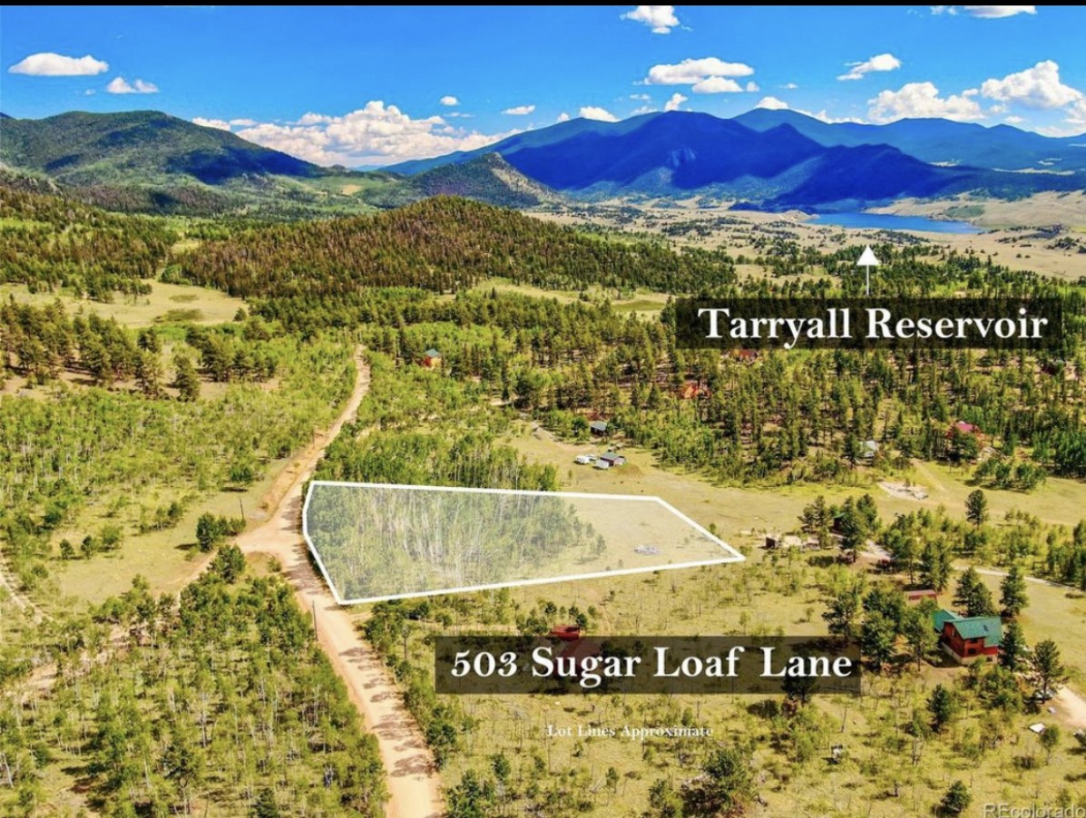 503 Sugar Loaf Lane Jefferson CO 80456