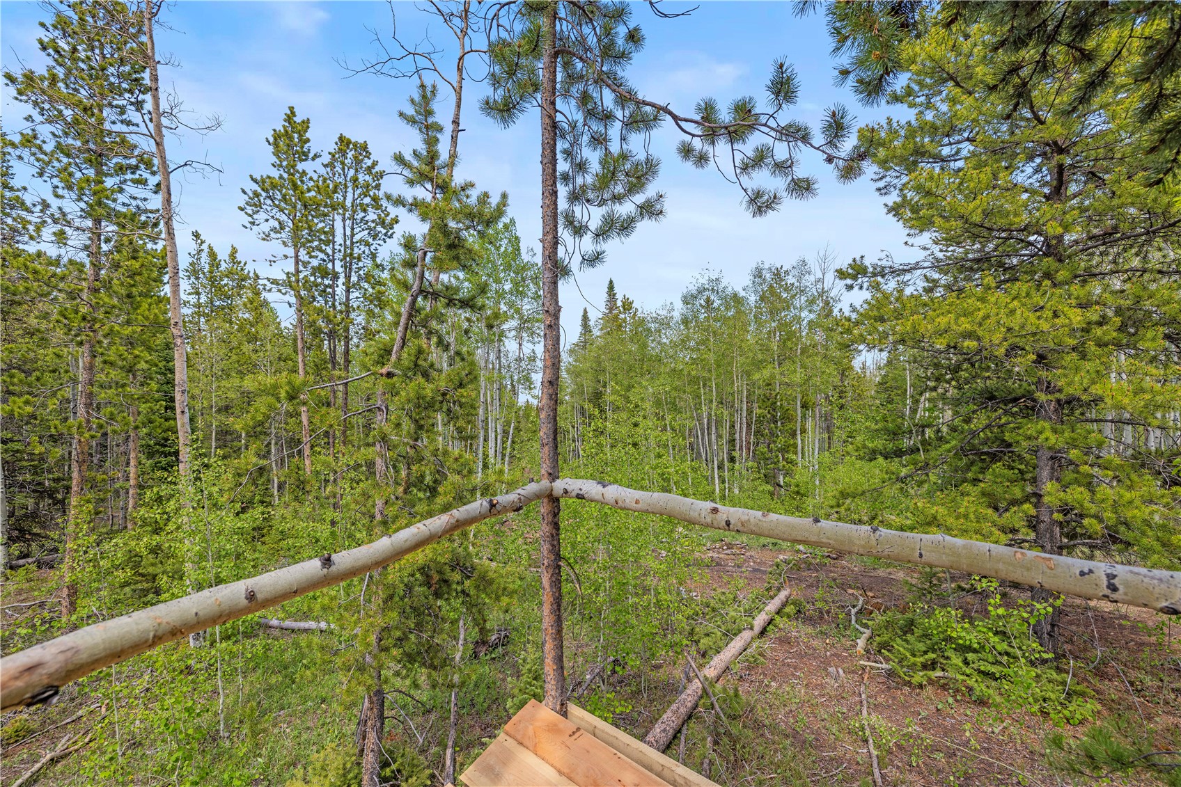 336 Blue Spruce Road Heeney CO 80498