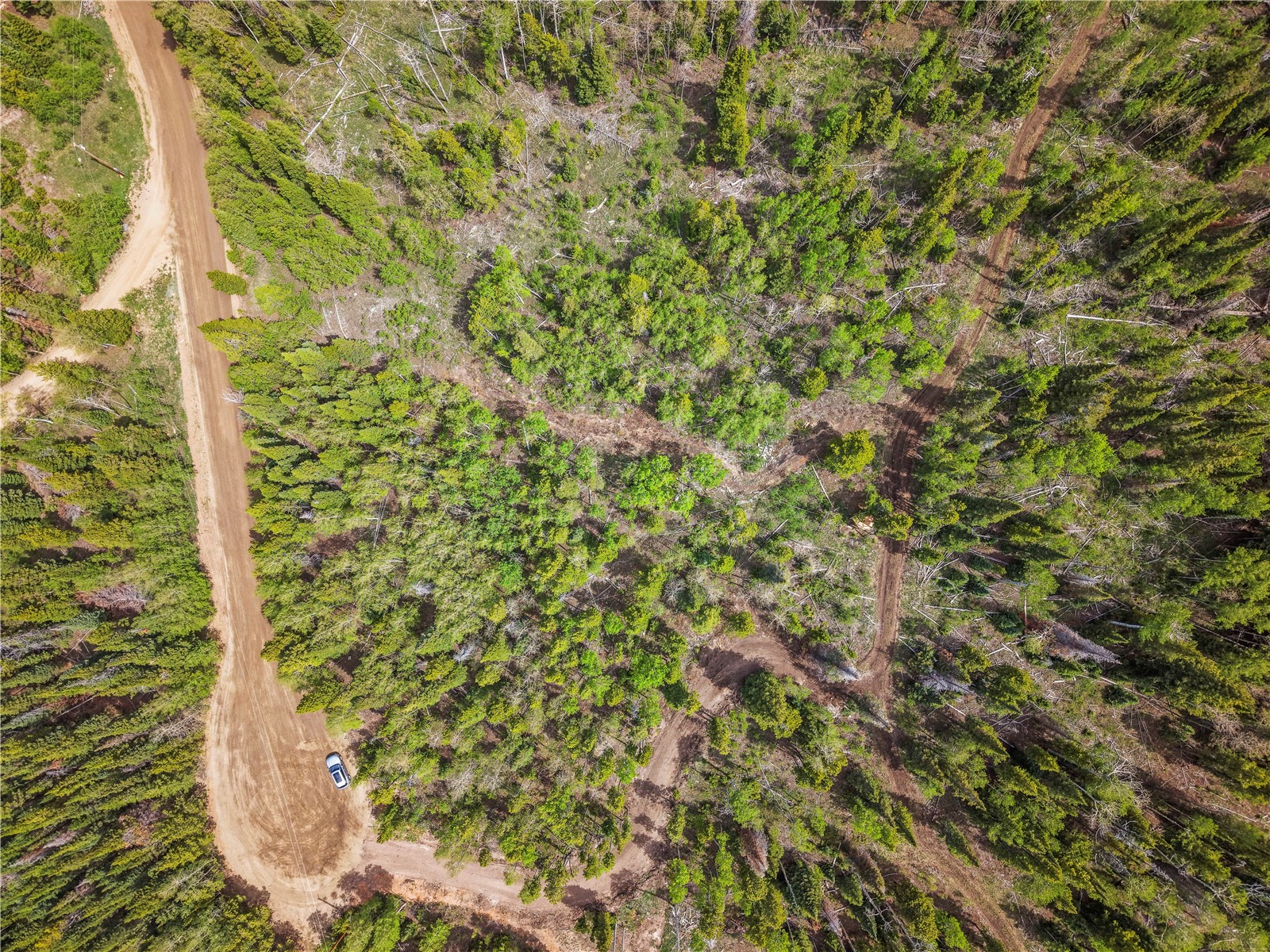 336 Blue Spruce Road Heeney CO 80498
