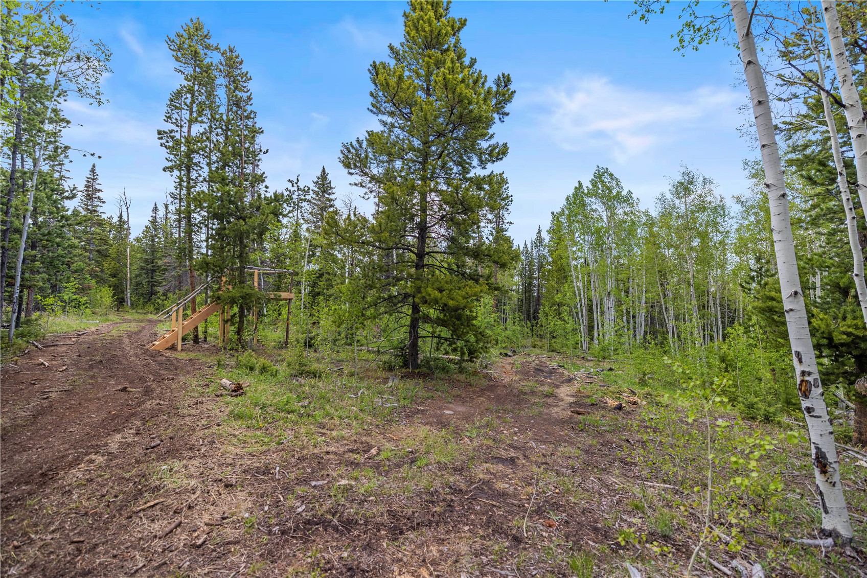 336 Blue Spruce Road Heeney CO 80498