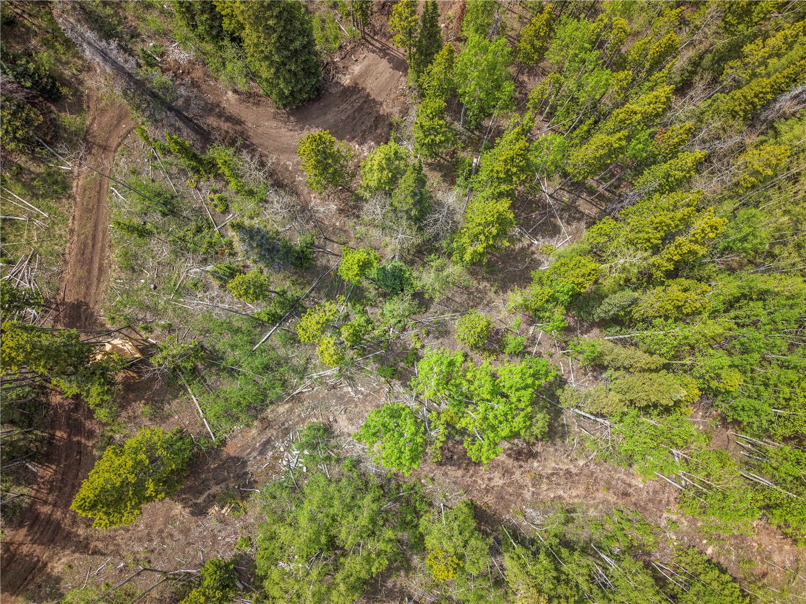 336 Blue Spruce Road Heeney CO 80498