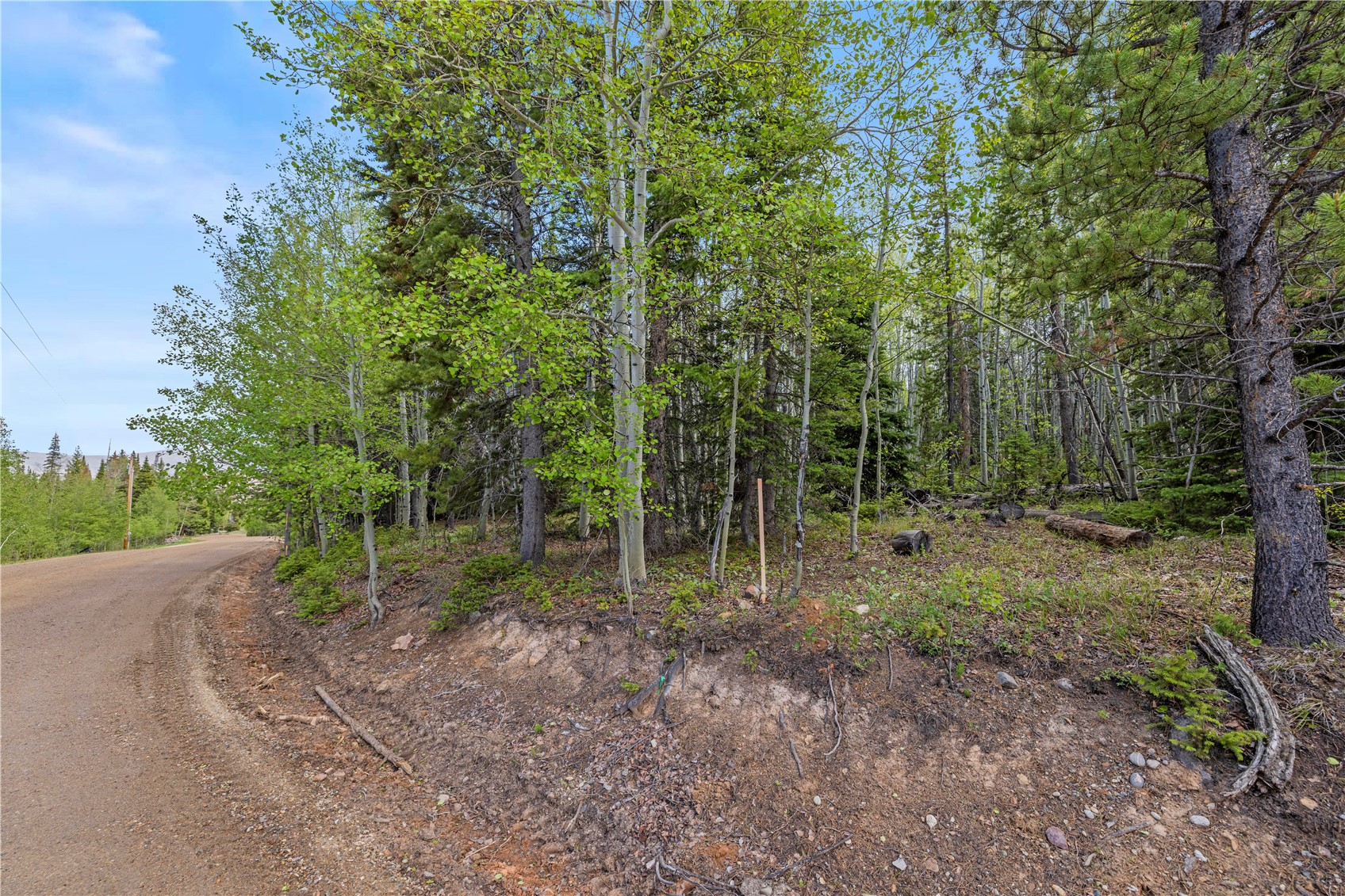 336 Blue Spruce Road Heeney CO 80498