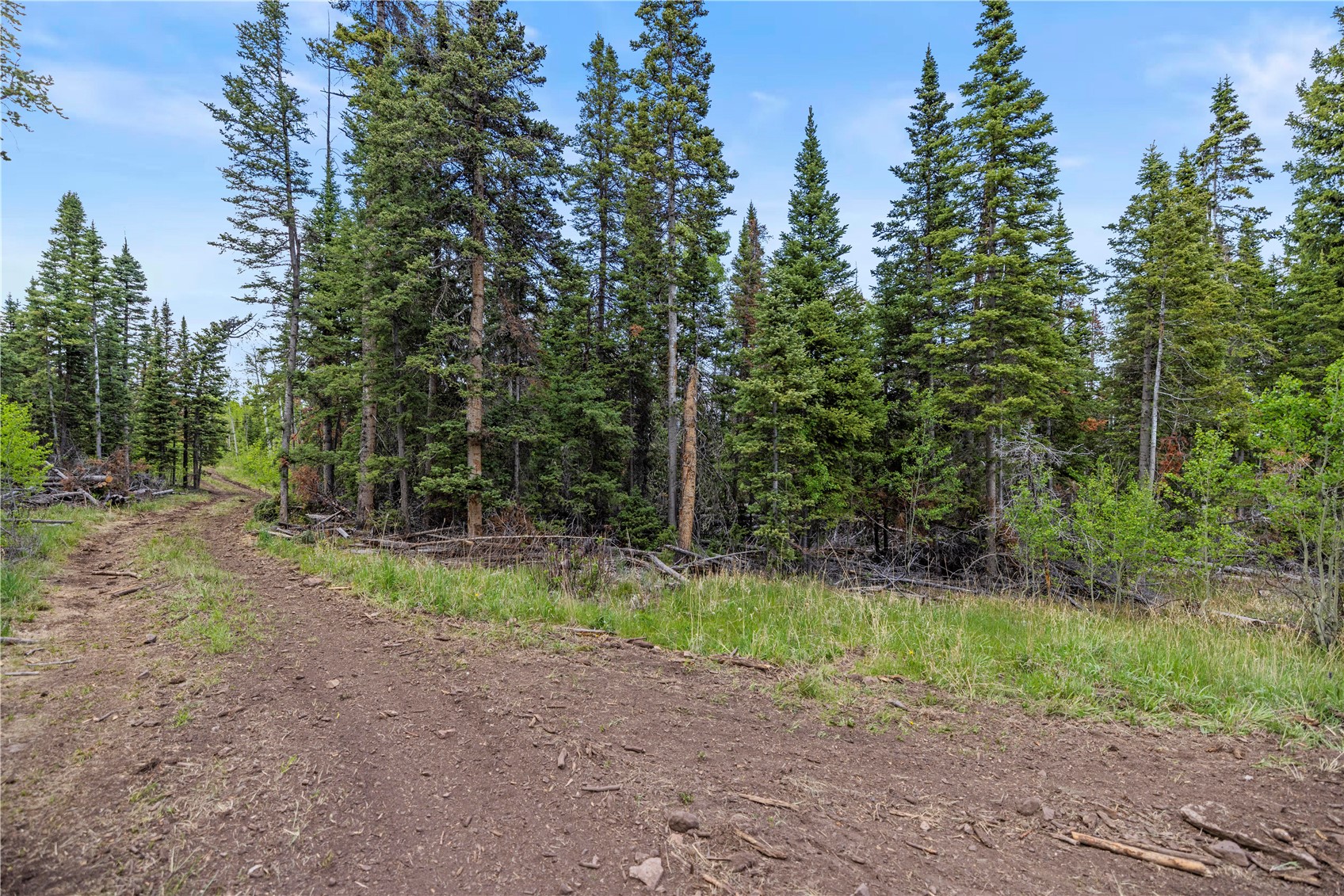 336 Blue Spruce Road Heeney CO 80498