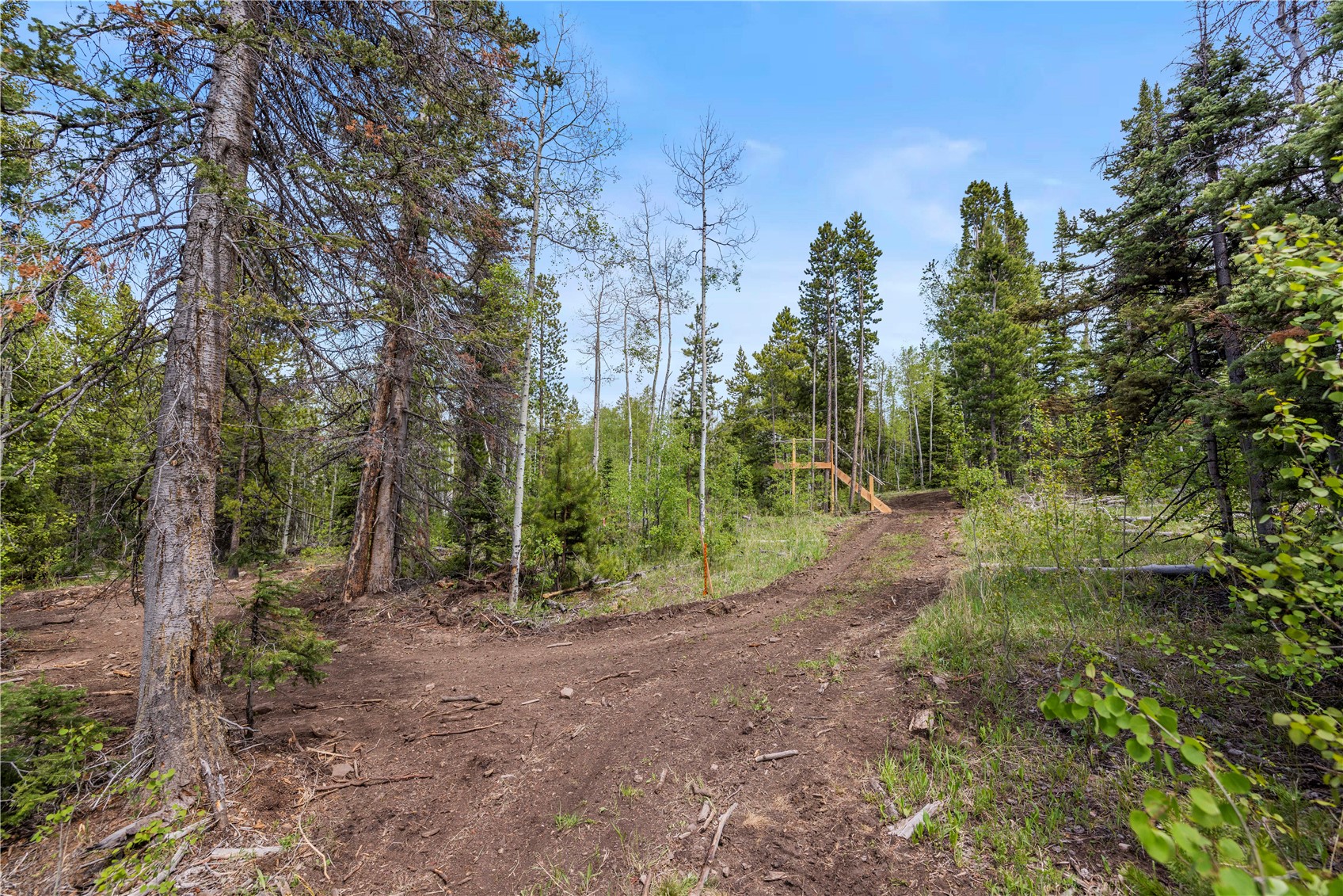 336 Blue Spruce Road Heeney CO 80498